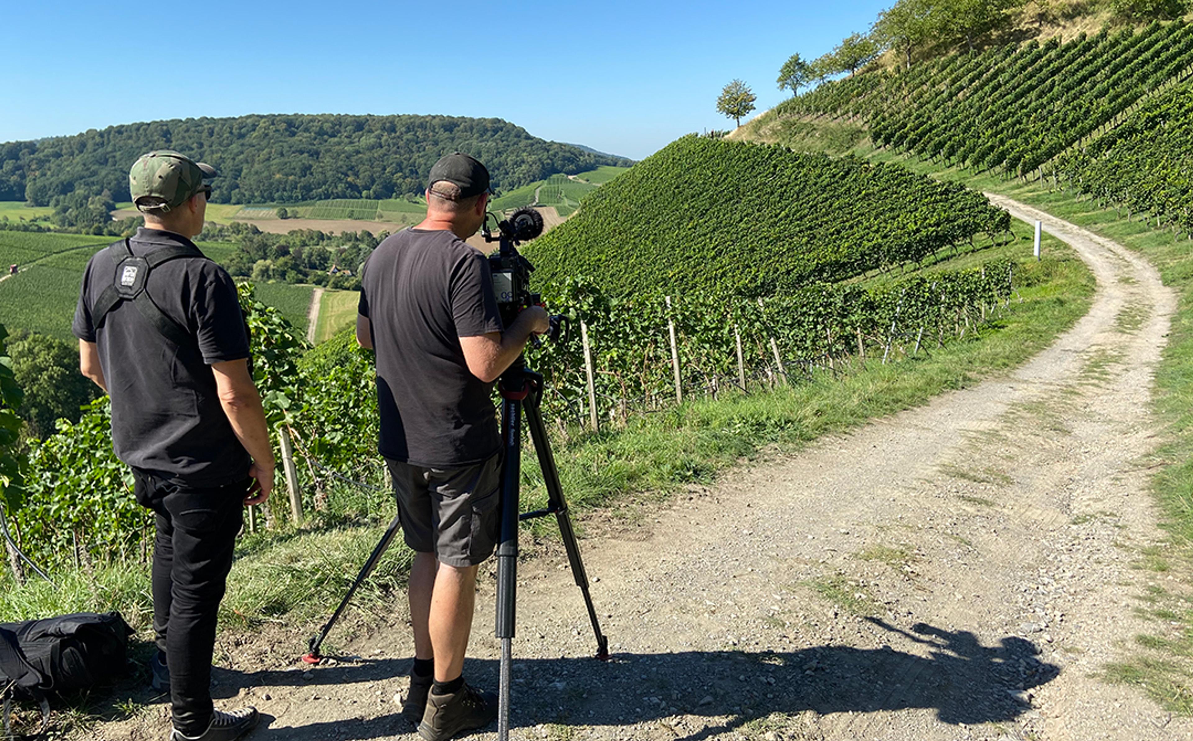 Zwei Männer filmen mit einer Kamera auf einem Stativ in einer grünen Weinberglandschaft unter klarem Himmel