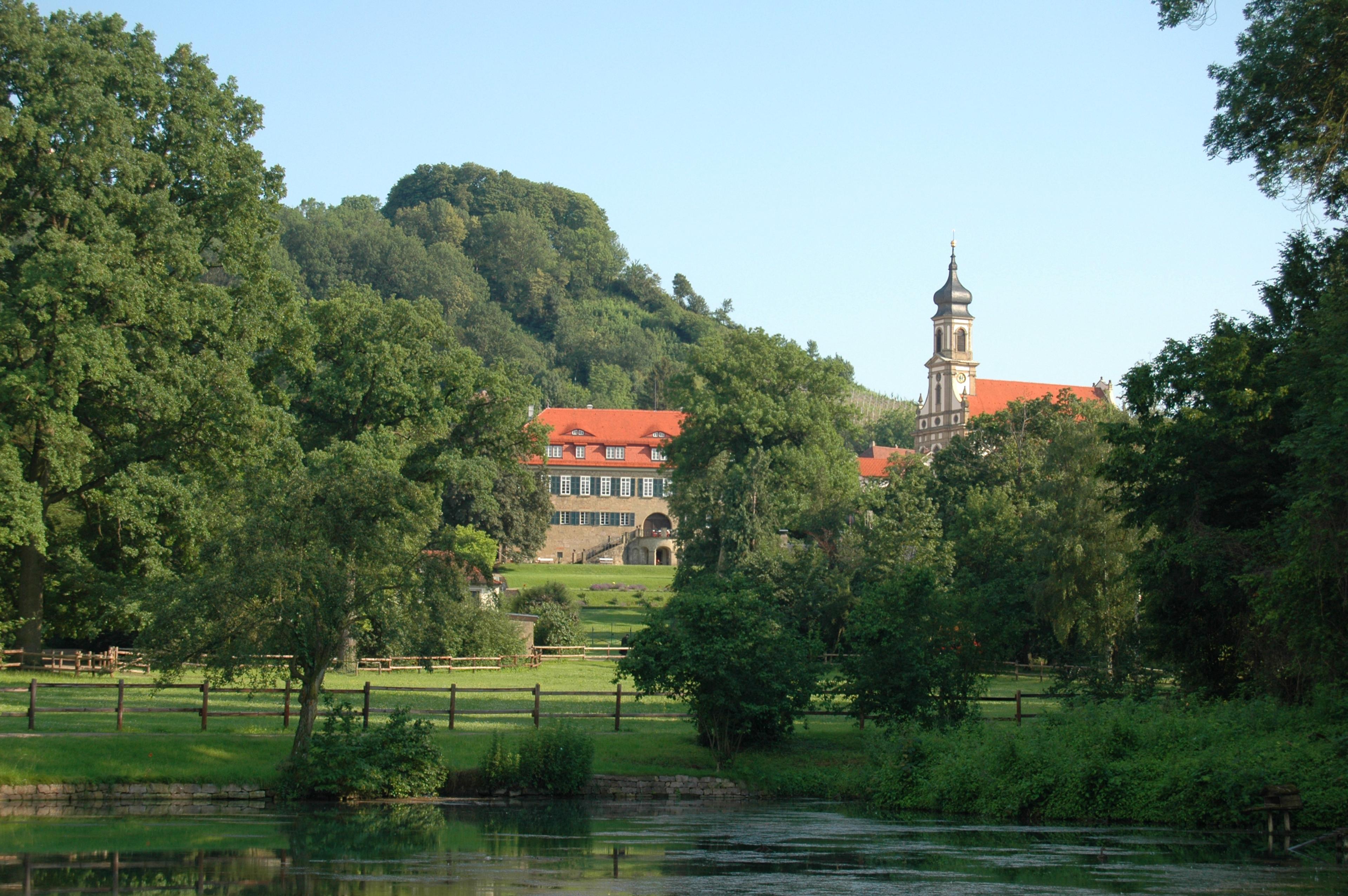 Schloss mit rotem Dach und Turm hinter Bäumen, davor Wiese und Teich im Vordergrund