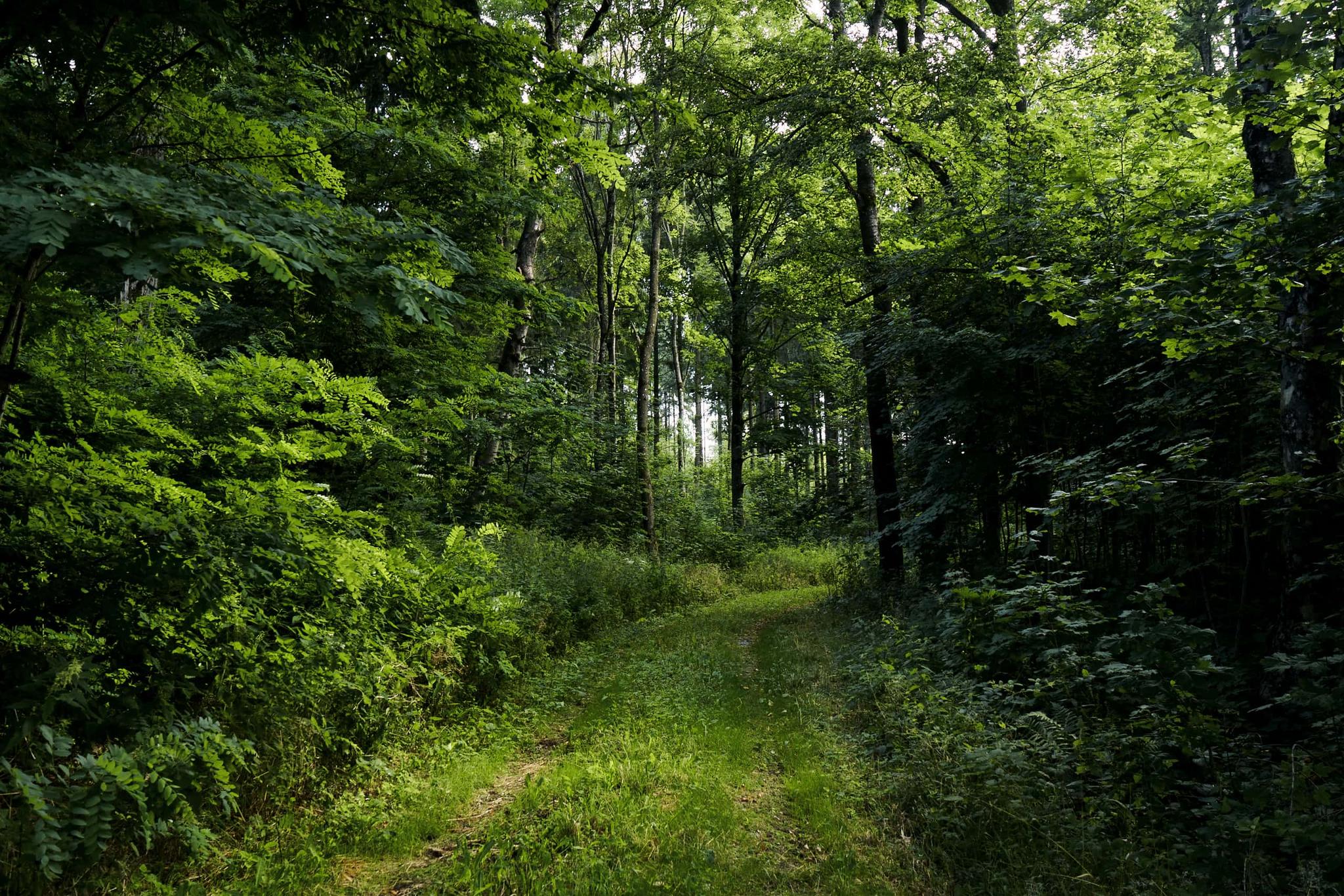 Castell erleben Fürstlich Castell'sche Bank