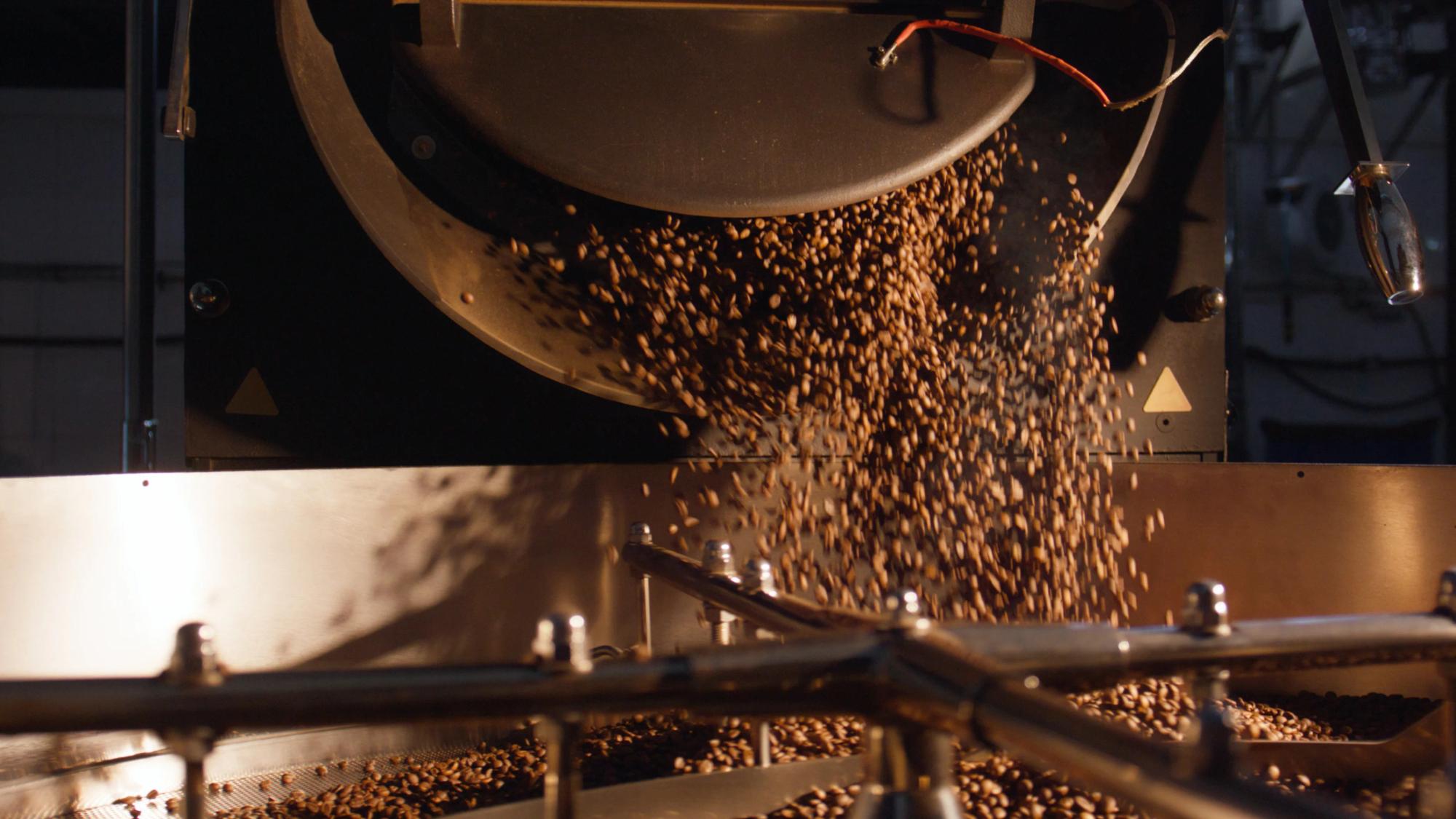 Coffee Business From Plantation
