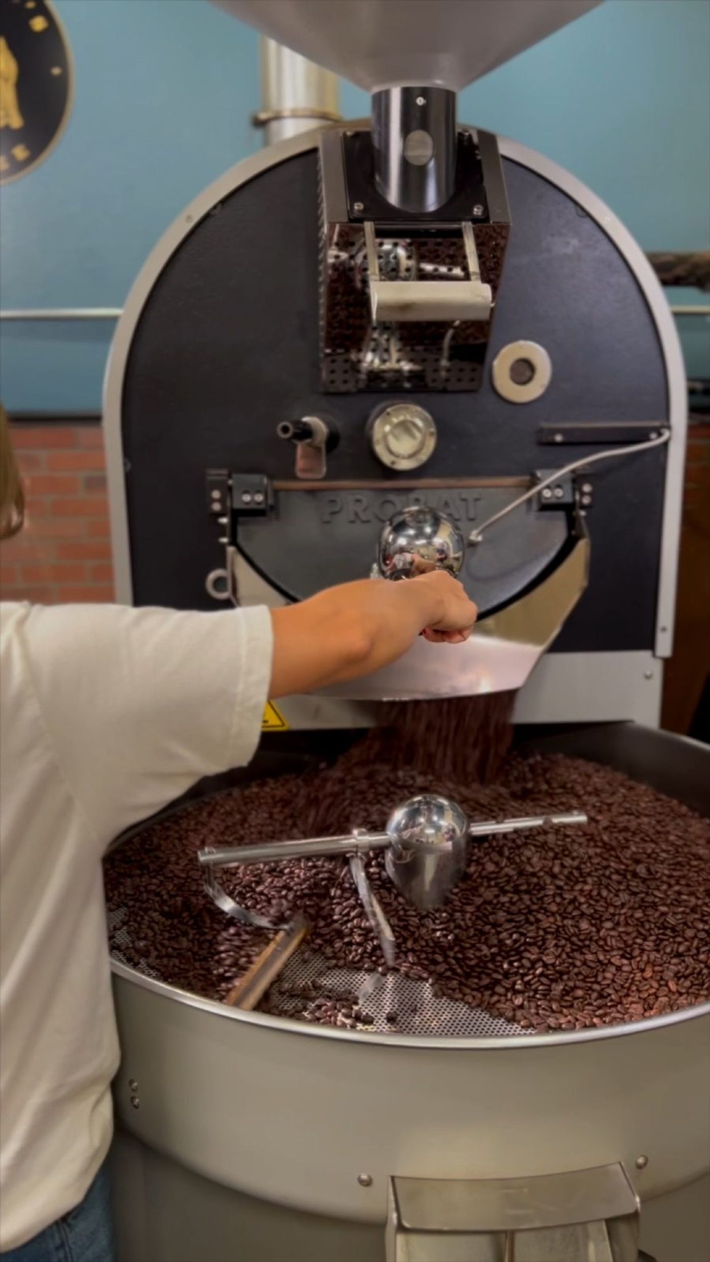 Roasted beans in the roaster drum