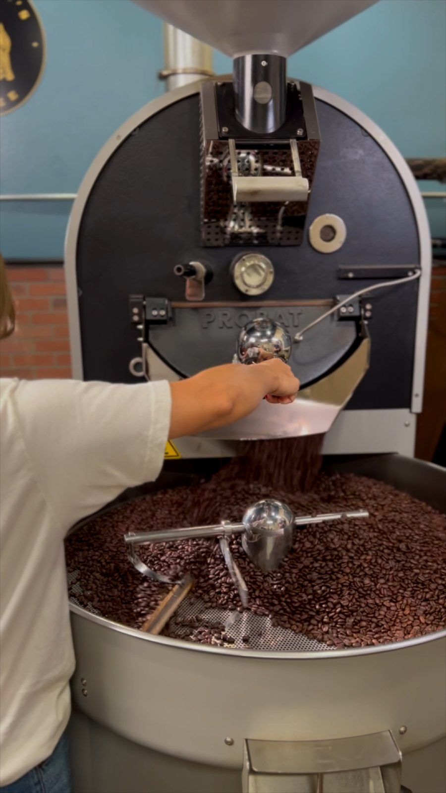 Roasted beans in the roaster drum