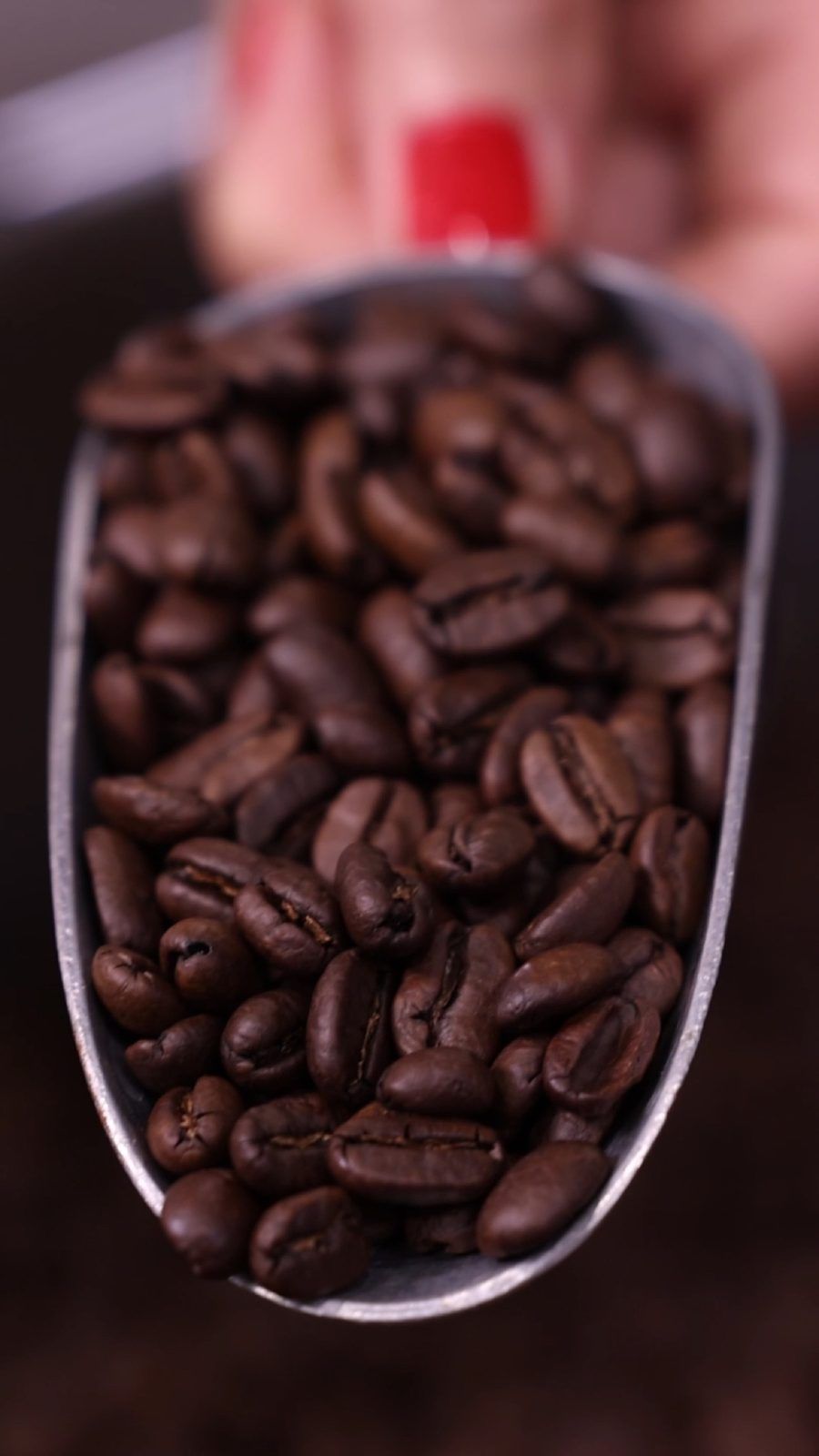 Scoop of Owlverick's roasted coffee beans