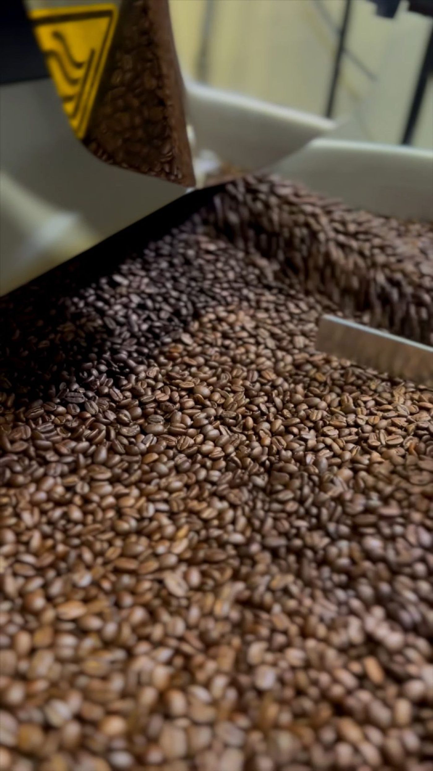 Macro shot of coffee beans pouring into the roaster