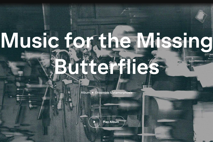 Cover art for Music for the Missing Butterflies