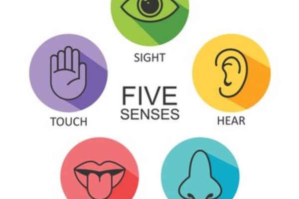 What Makes a Restaurant Successful? The Role of the Five Senses