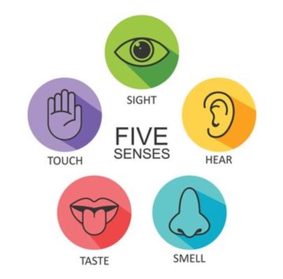What Makes a Restaurant Successful? The Role of the Five Senses