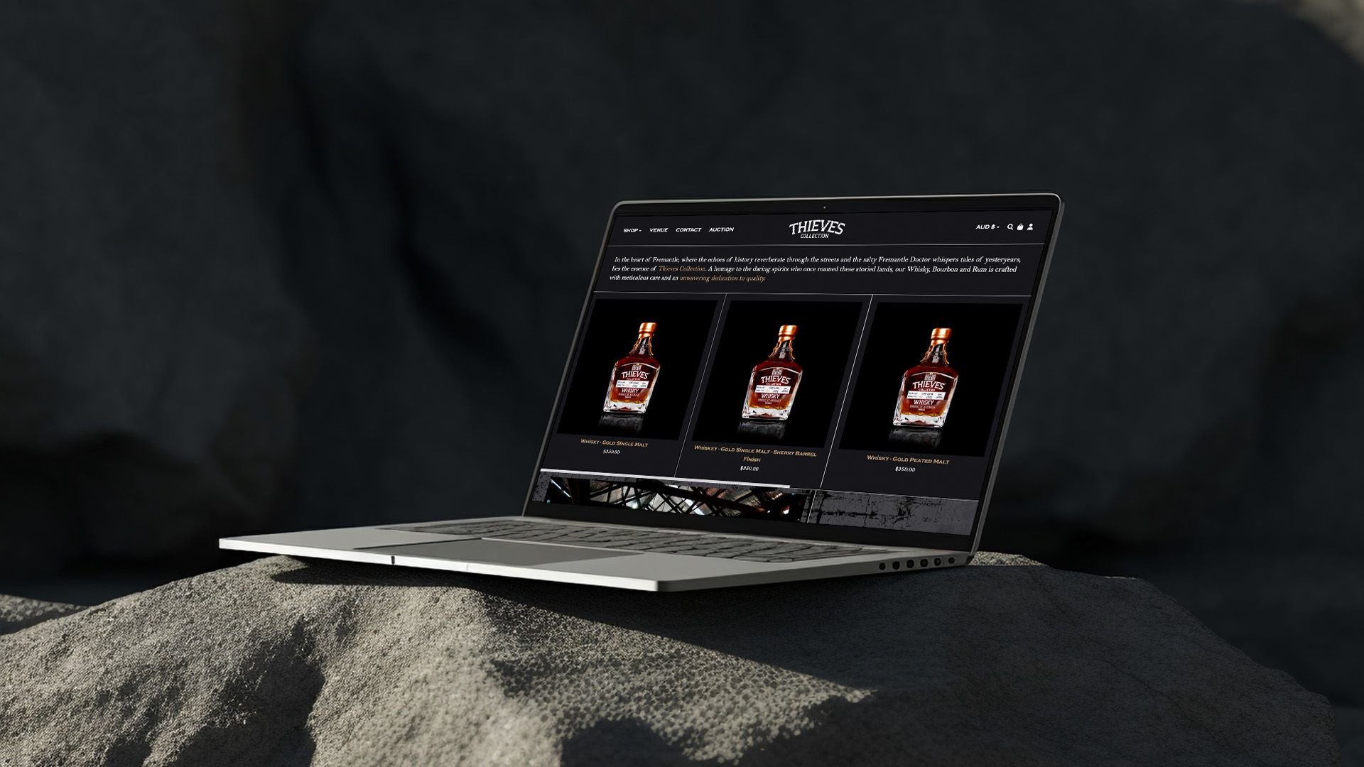 Thieves Collection Website on Laptop