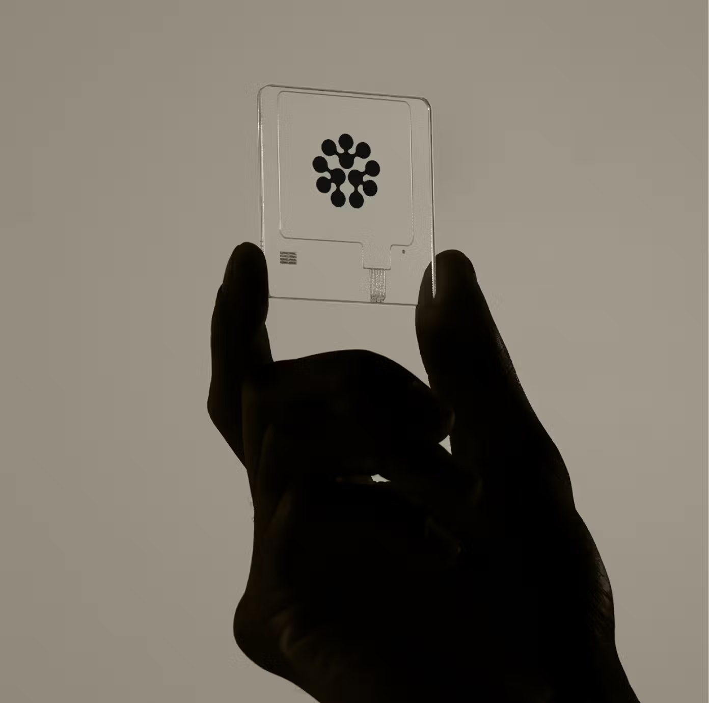 Brand.ai