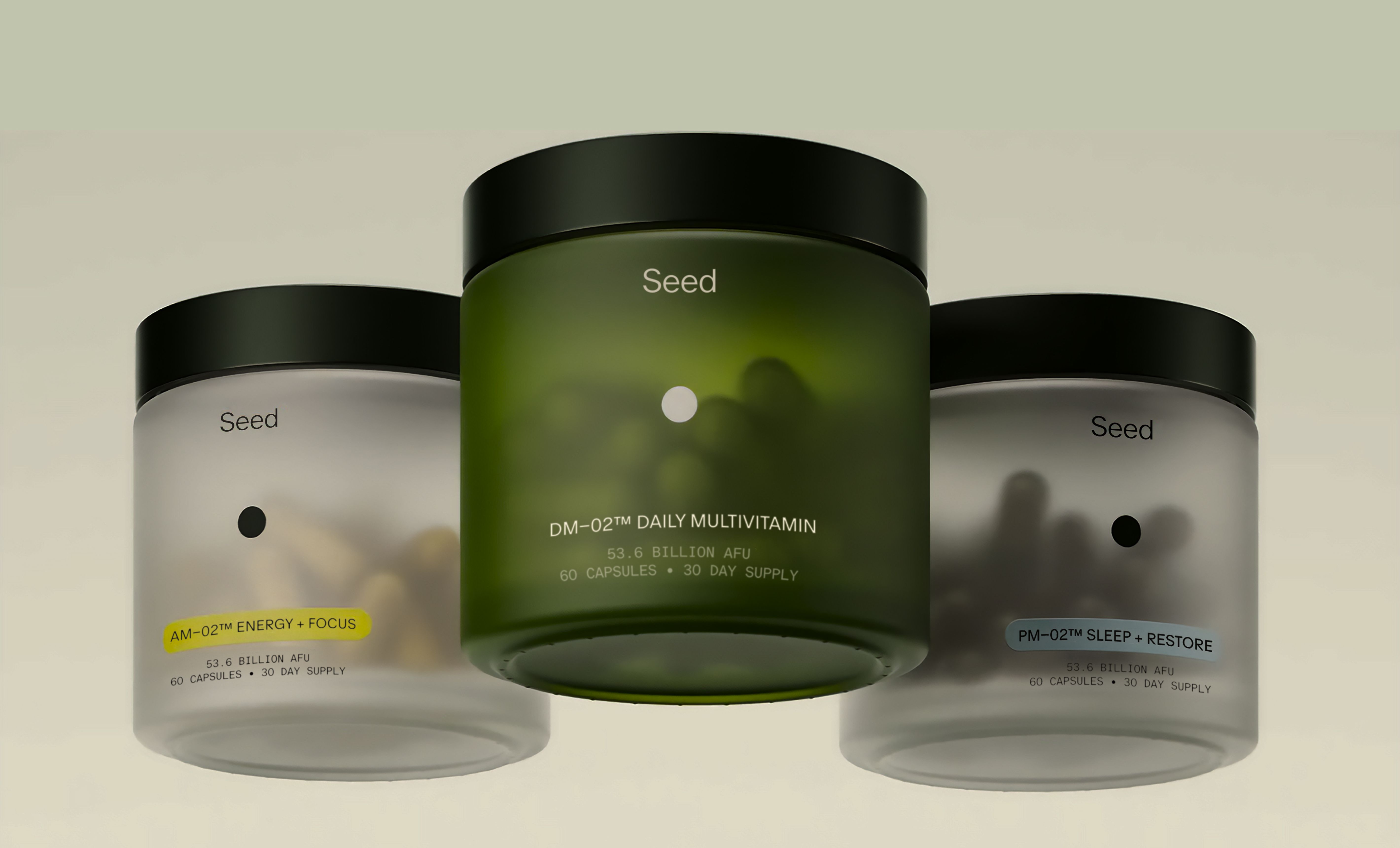 Seed