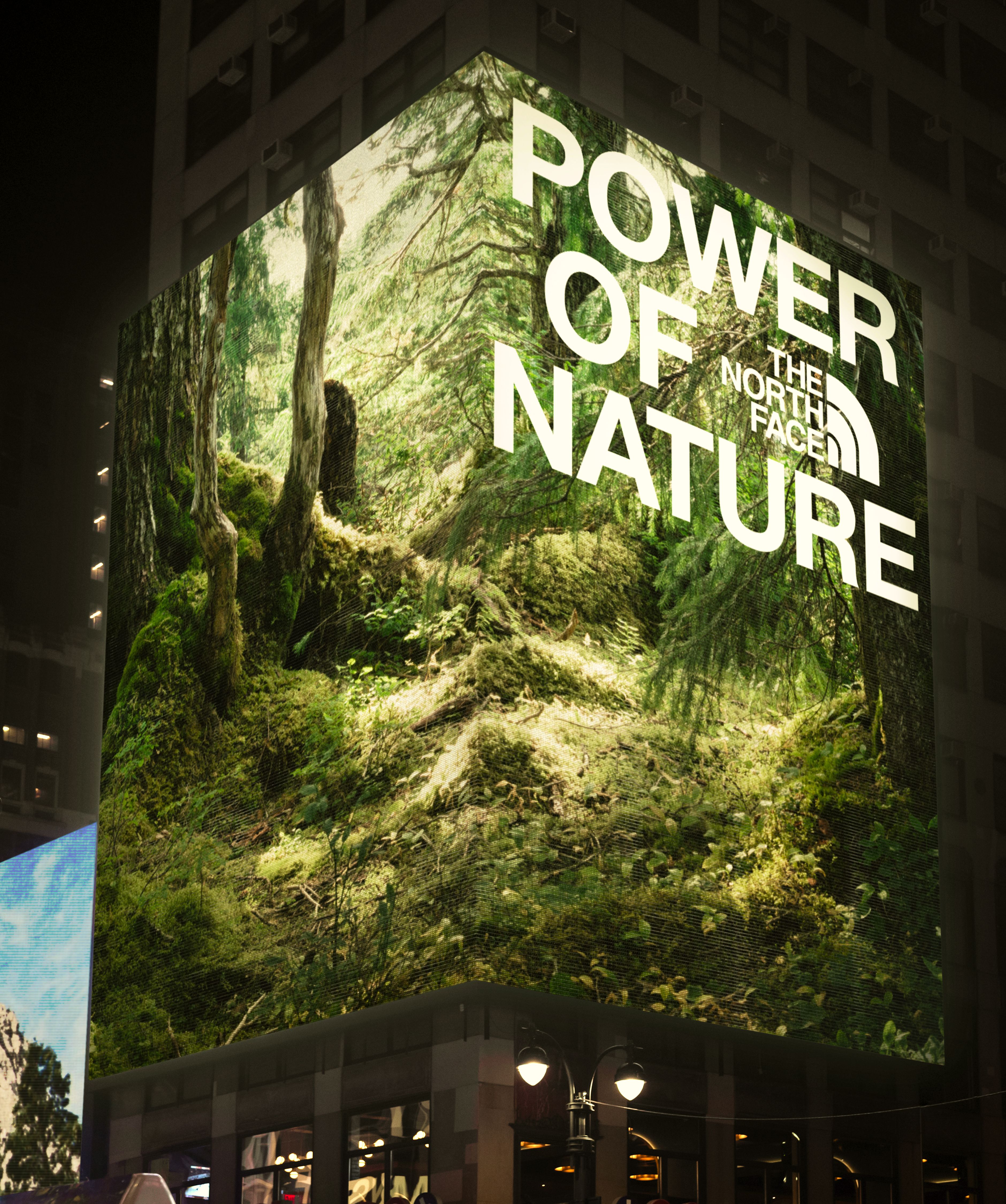 The North Face left