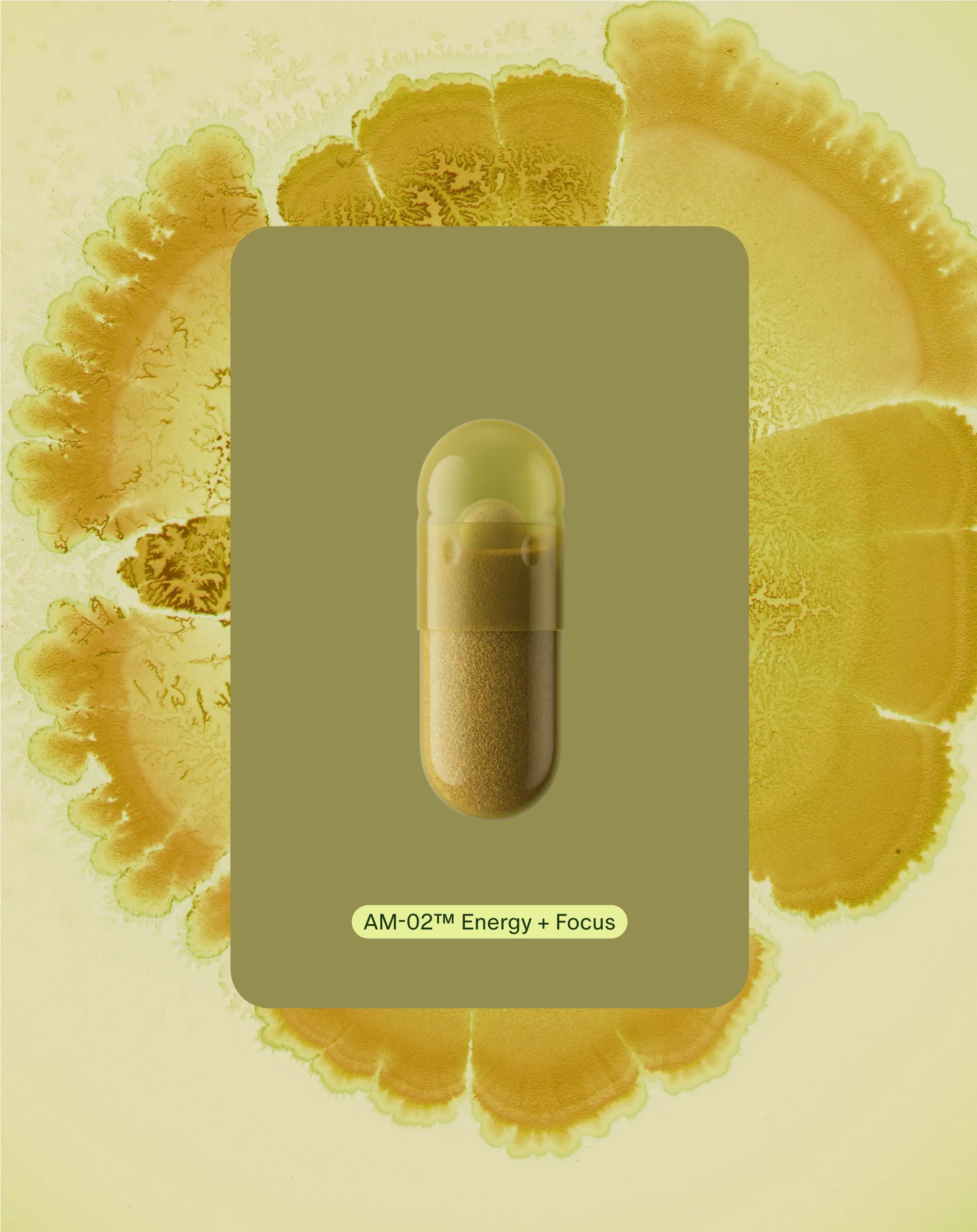 Seed