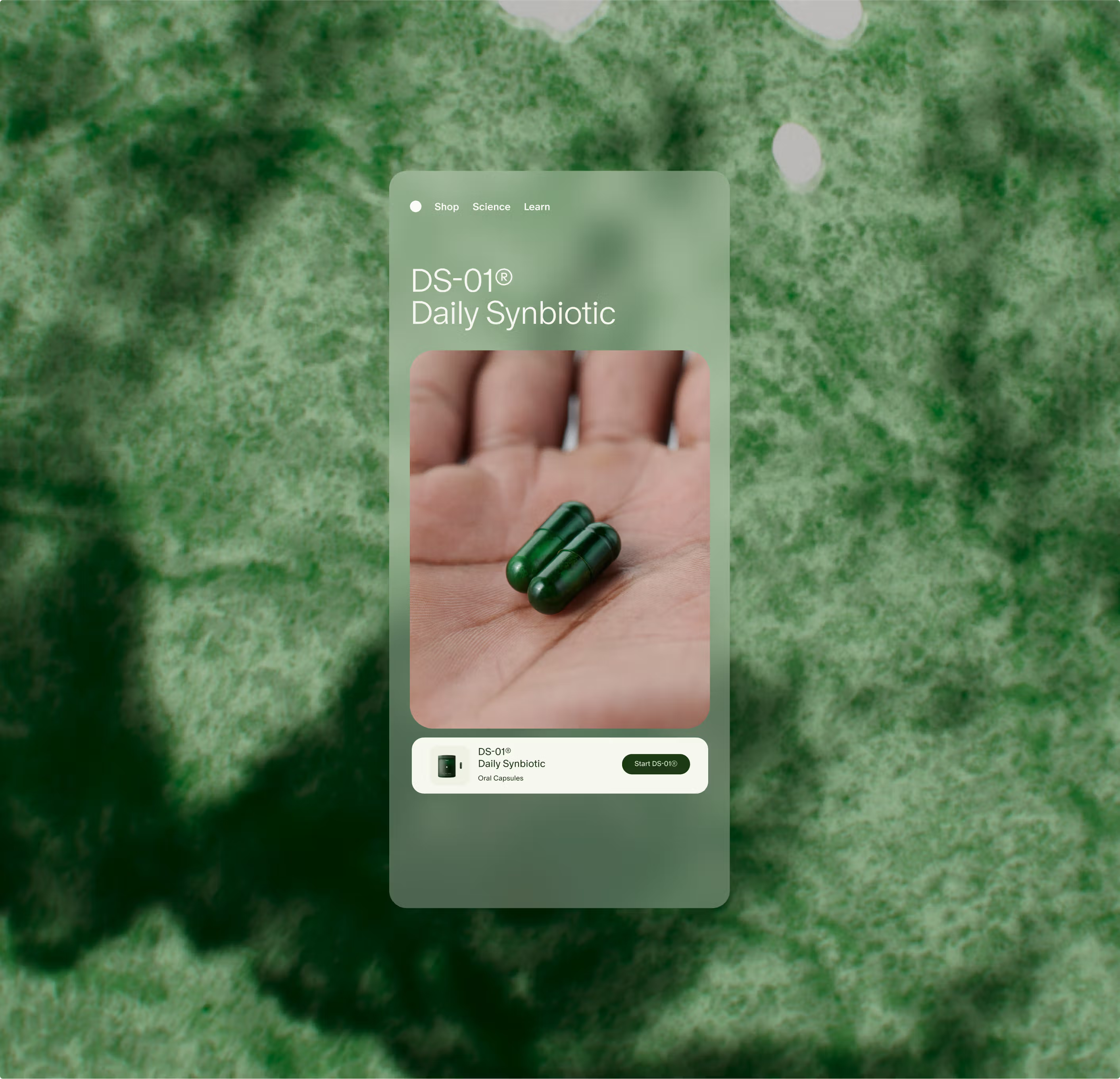Seed