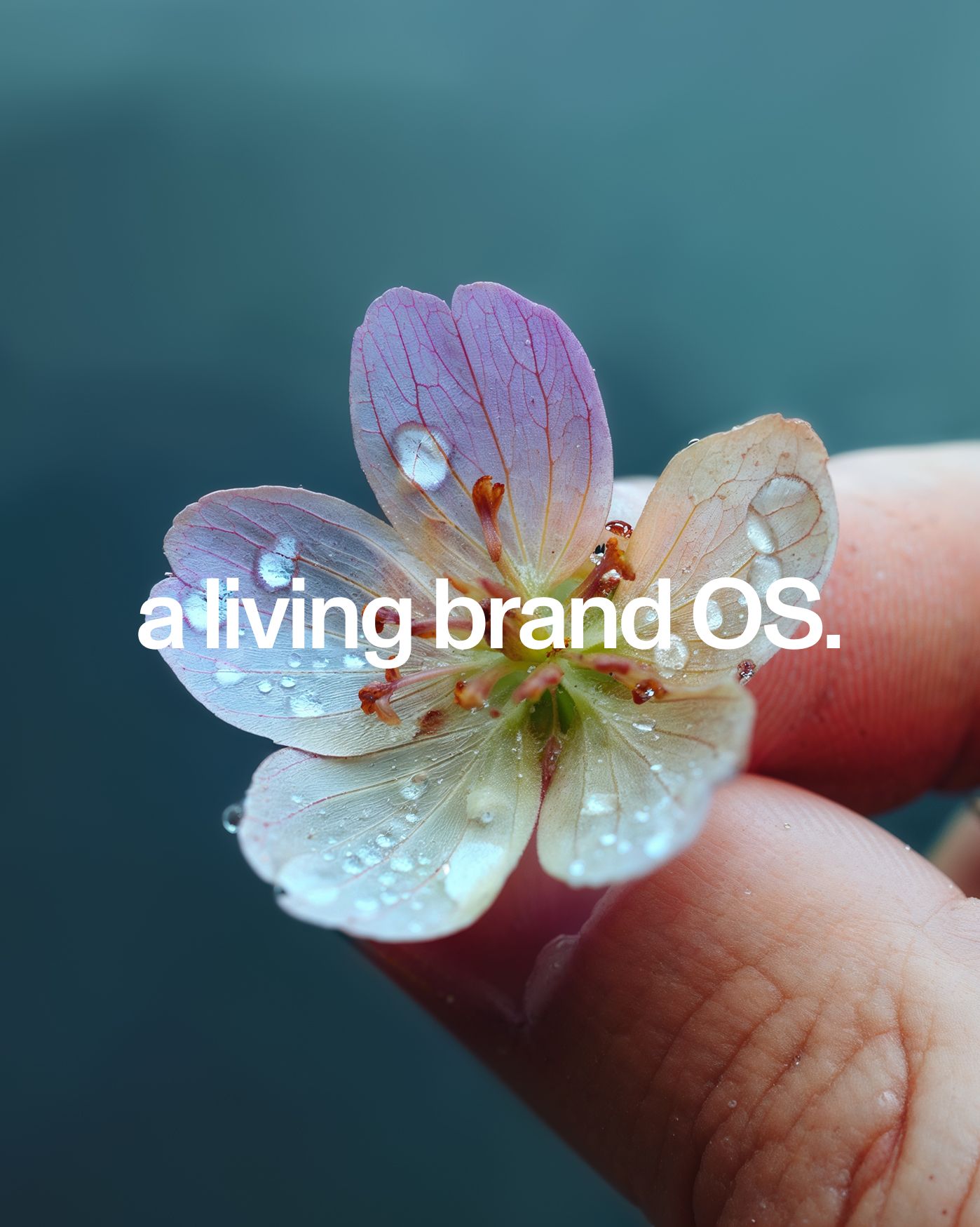 Brand.ai right