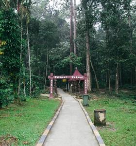 Cover Image for Photo Diary | Hannah & Joshua's Waterfall Wedding