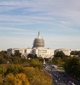 Cover Image for Looking Back | Washington D.C.