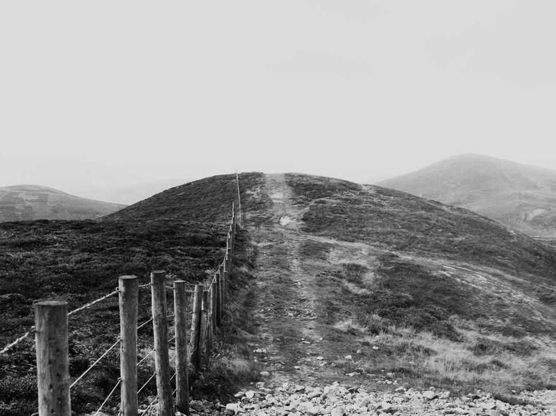 Comprehensive Landscape Design Services image 2