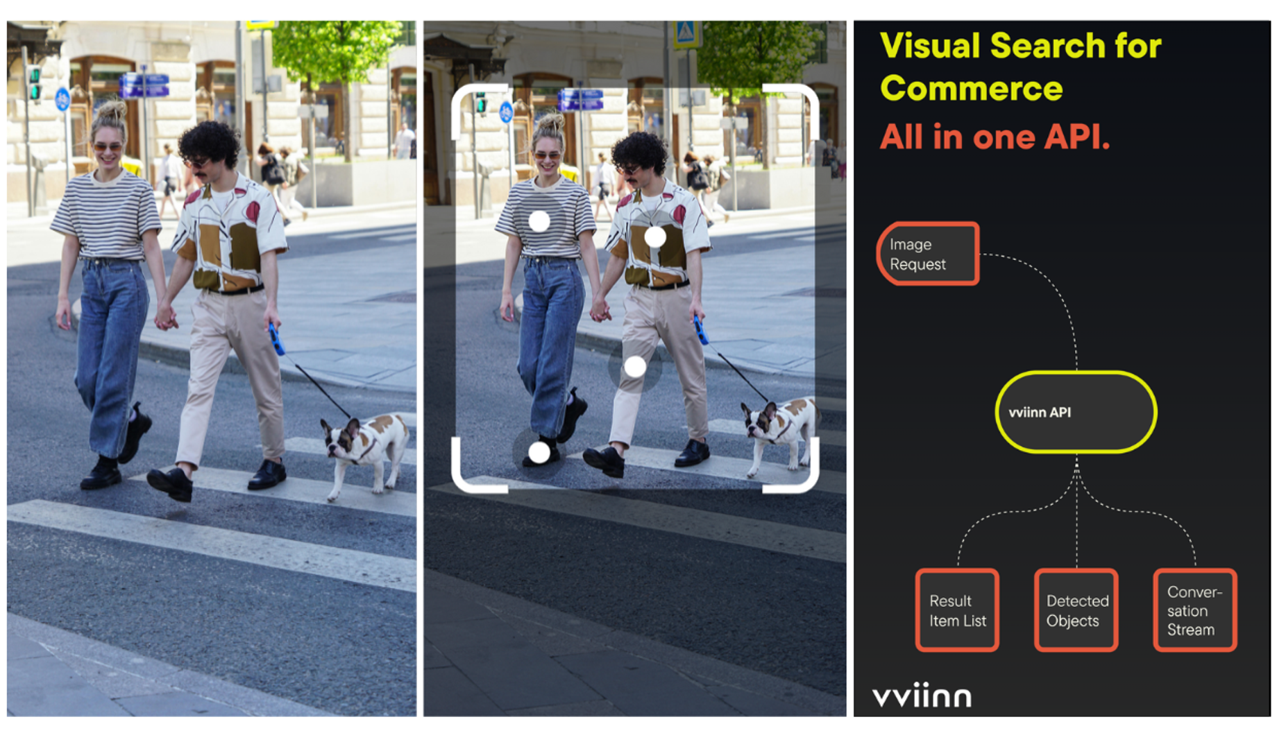 Couple walking dog and visual search API