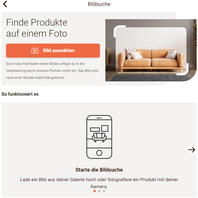 Visual Search interface