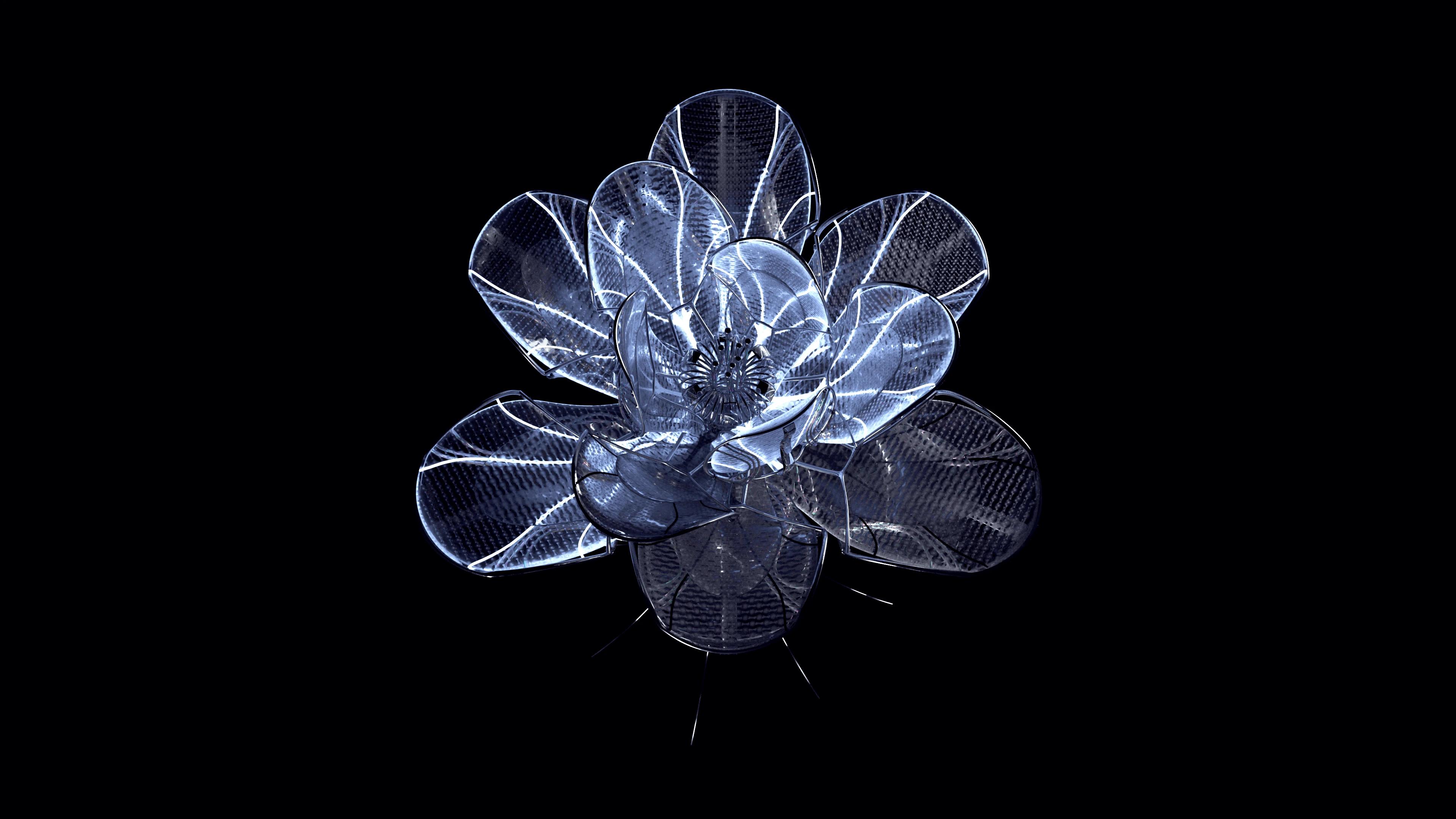 Blooming metal flower in middle against a black backdrop