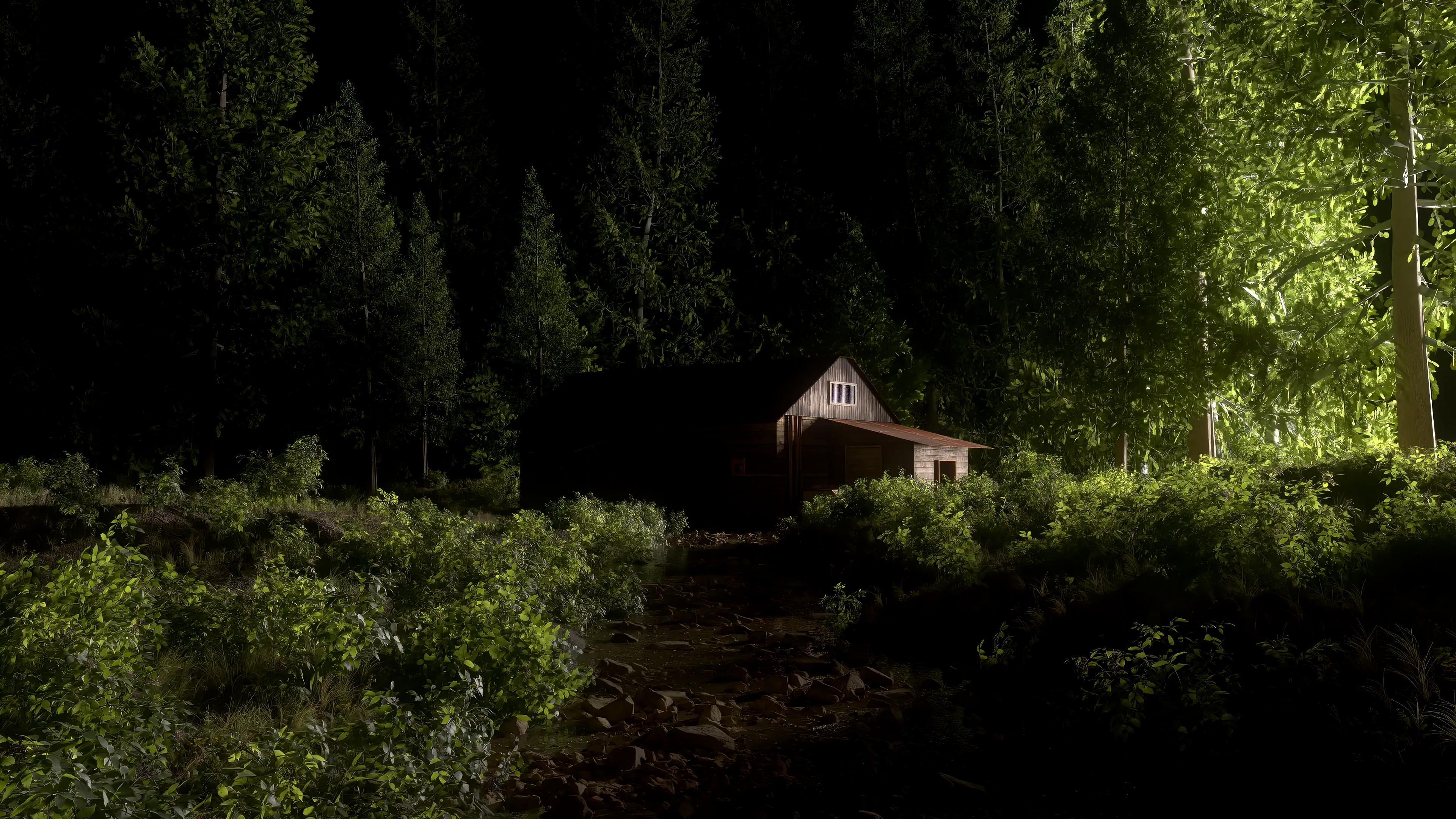 Cabin in the middle of the woods