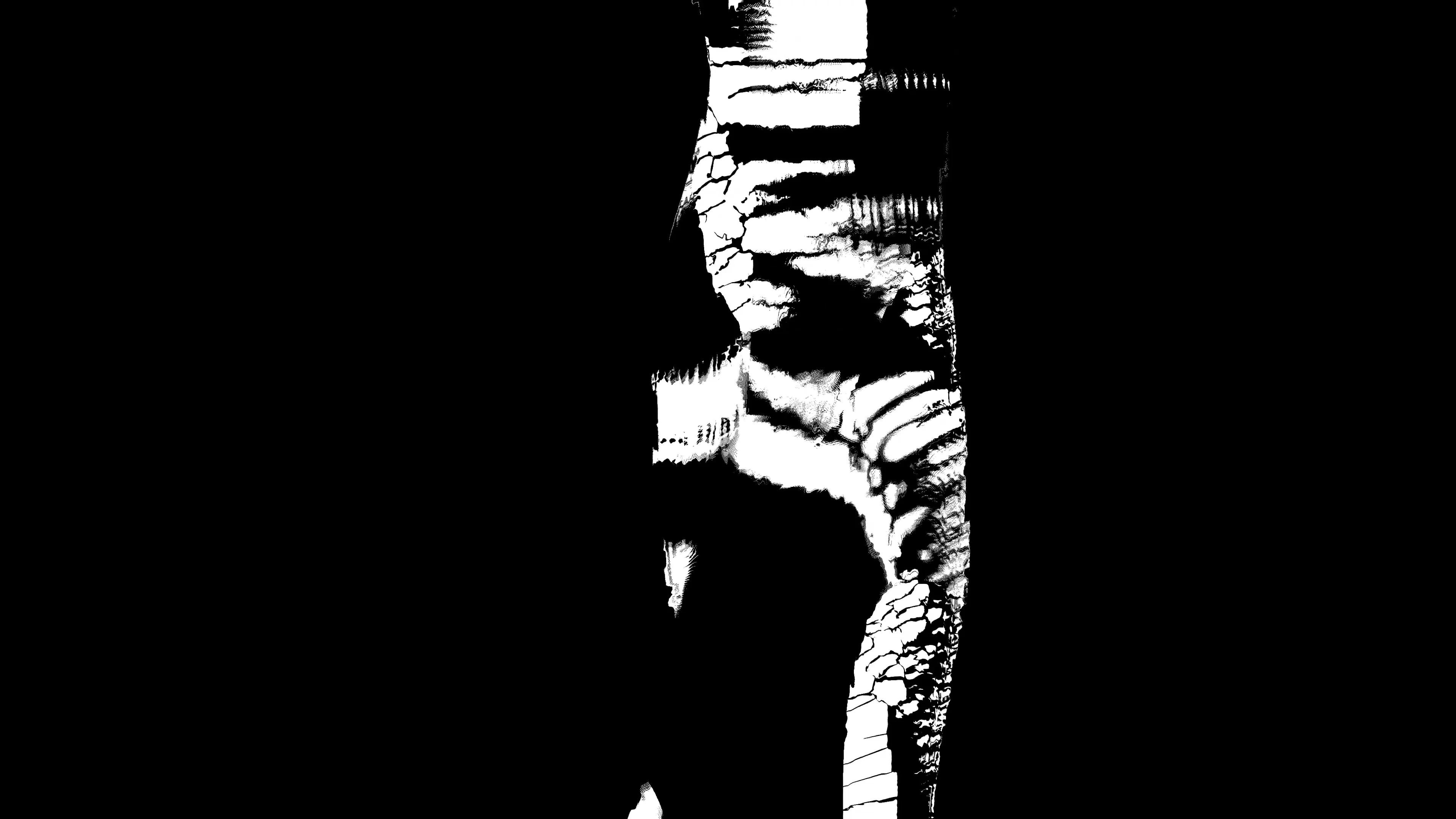 Black and white texture over a vertical shape