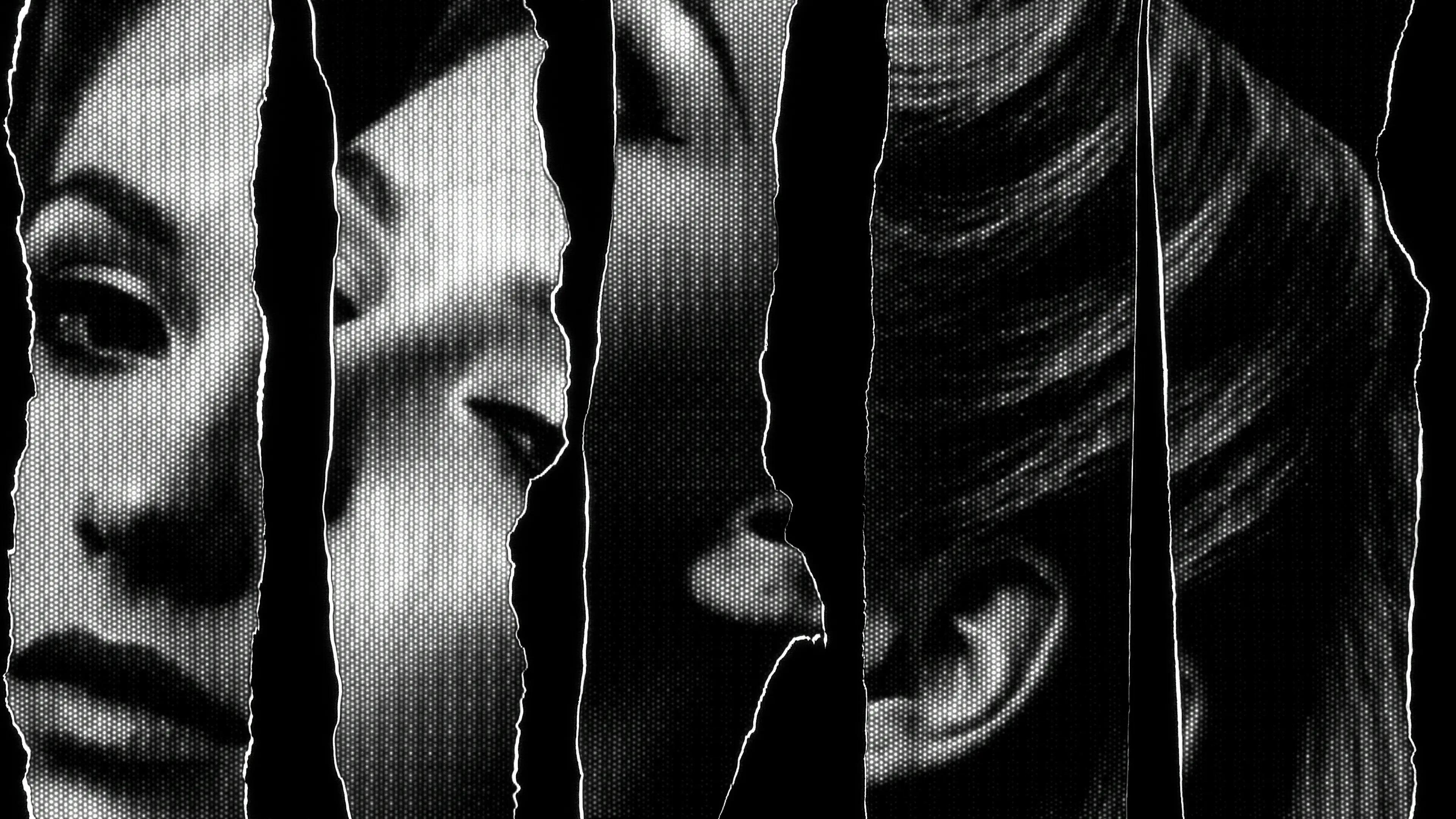 Shards of ripped paper containing a woman's face 