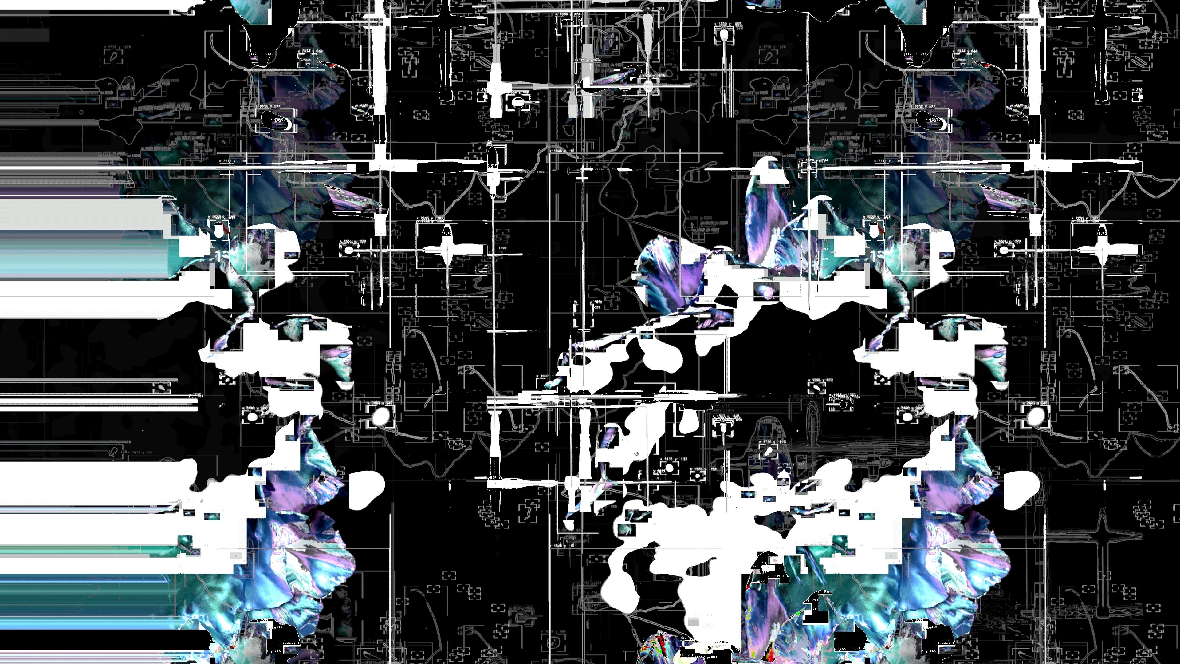 Glitchy lines and stretched flower shapes in a computerised environment