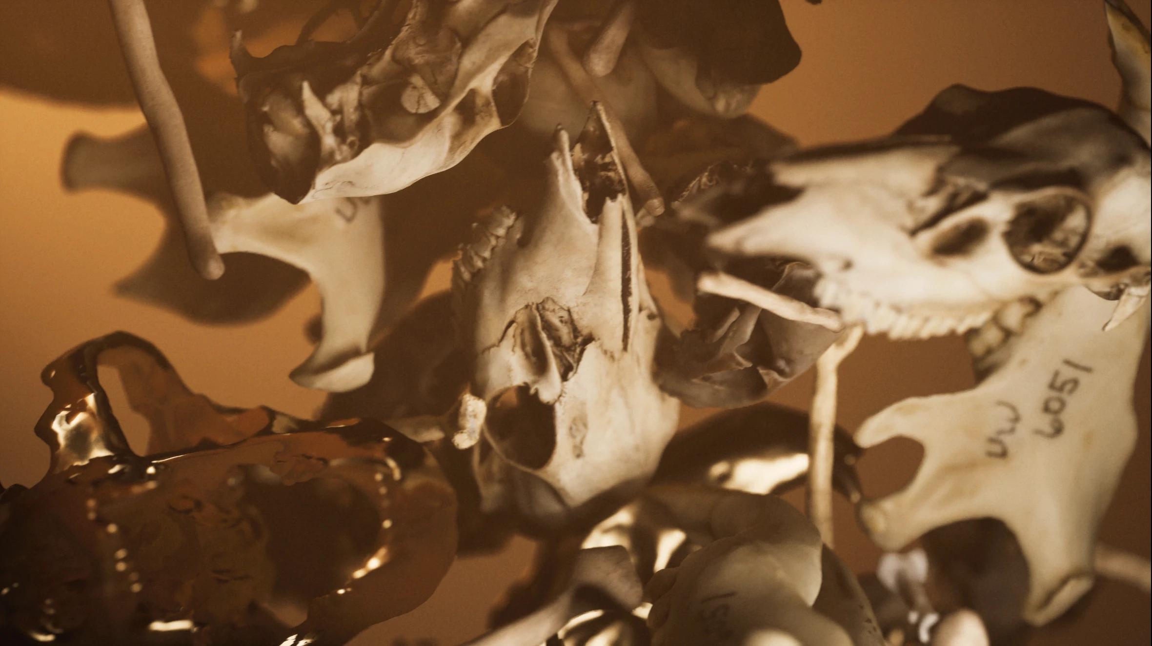 Close-up mix of yellow and gold skulls against orange background
