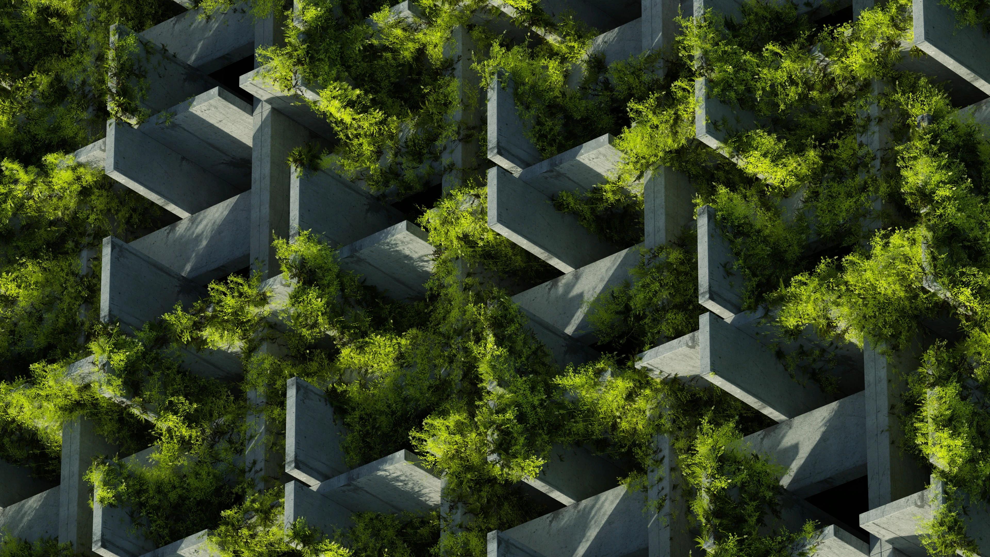 Green foliage peaking through a wall of concrete