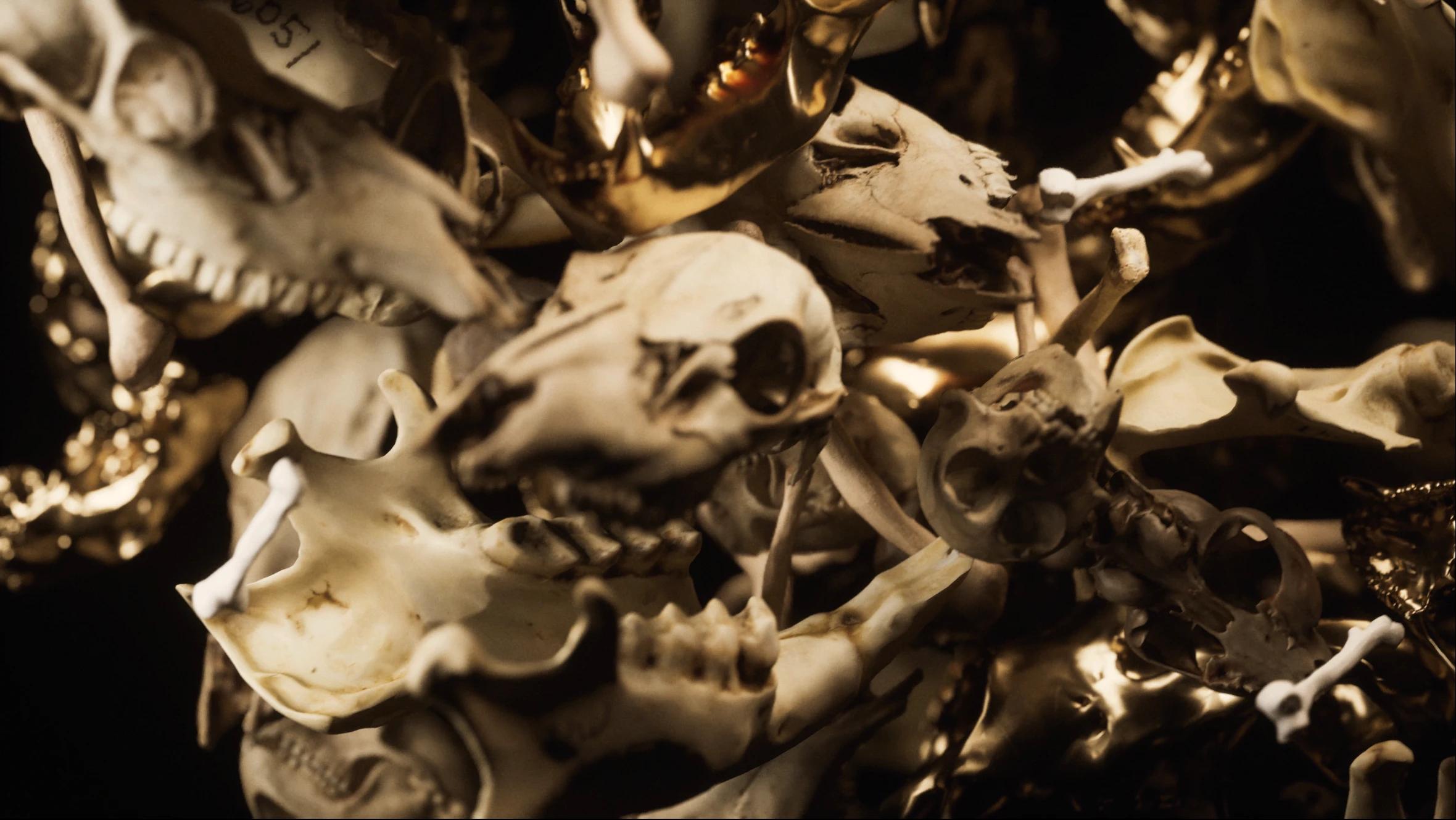 Close-up of yellow skulls, some with a metallic texture