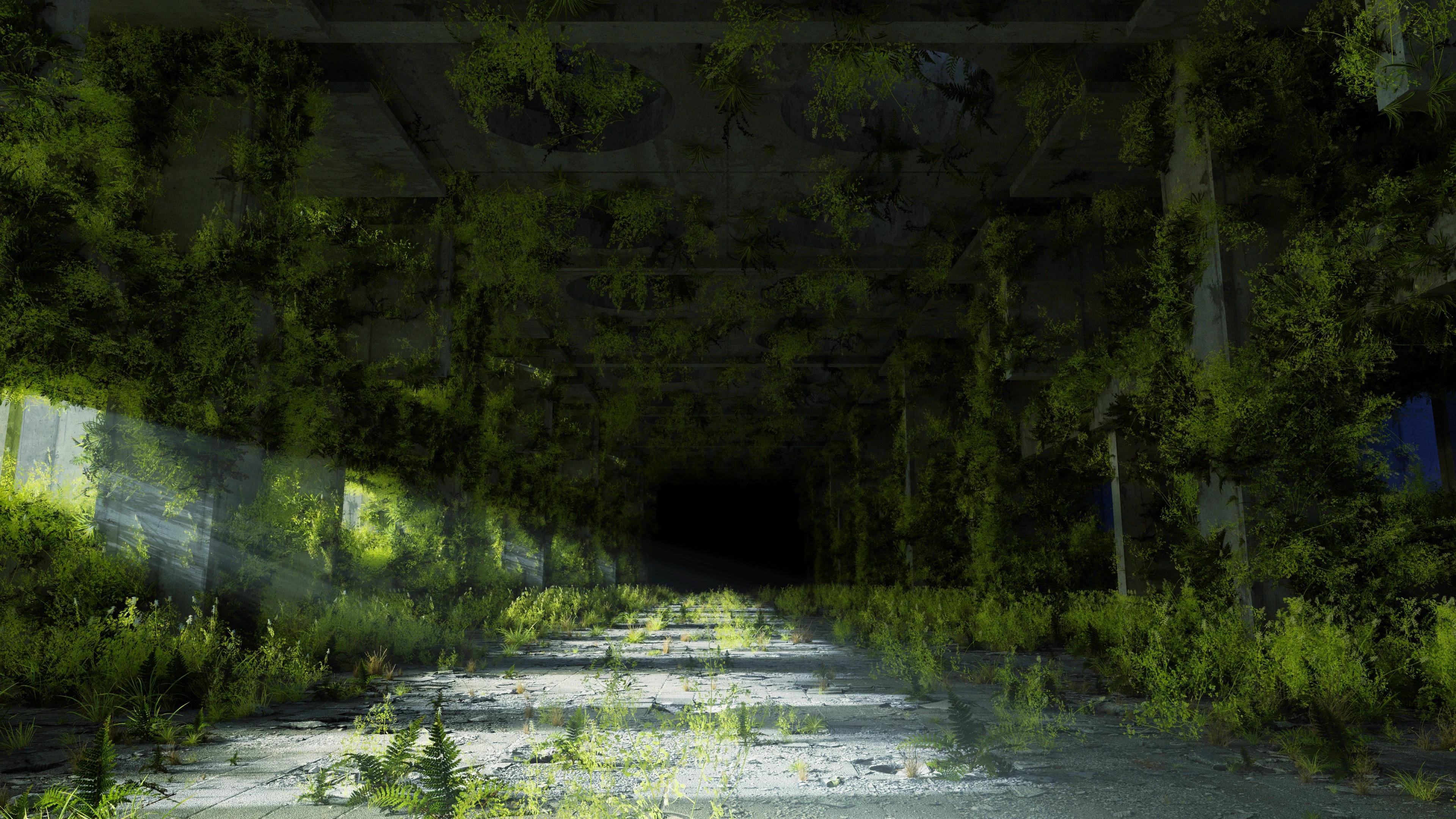 Large inside concrete space covered in low plants with sun filtering through a window
