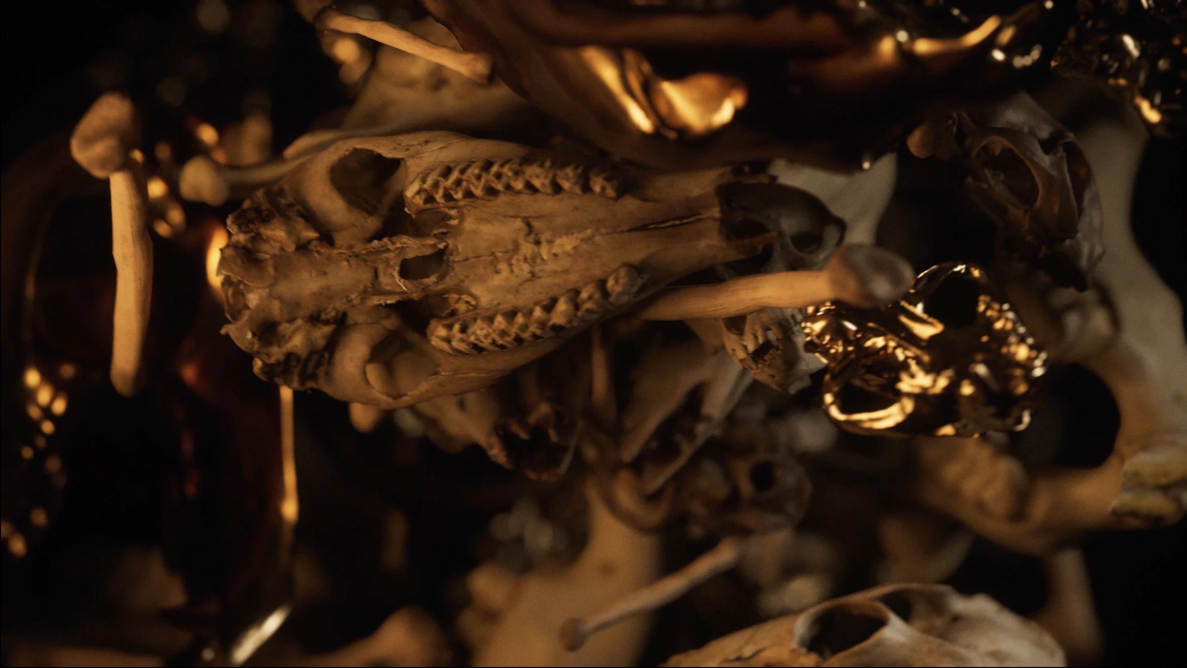 Close-up mix of yellow and gold skulls against black background
