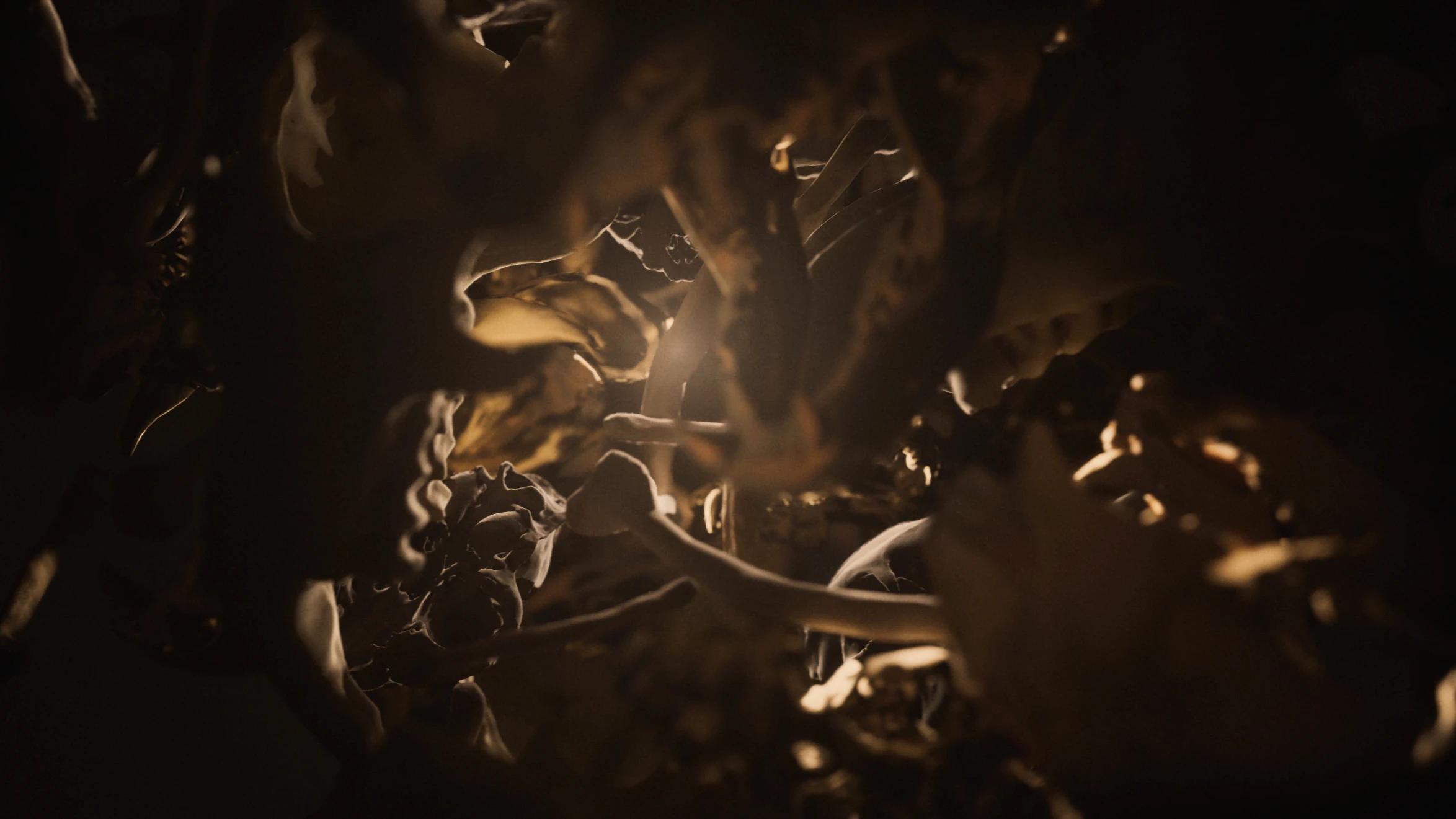 Close-up mix of yellow and gold bones against orange background