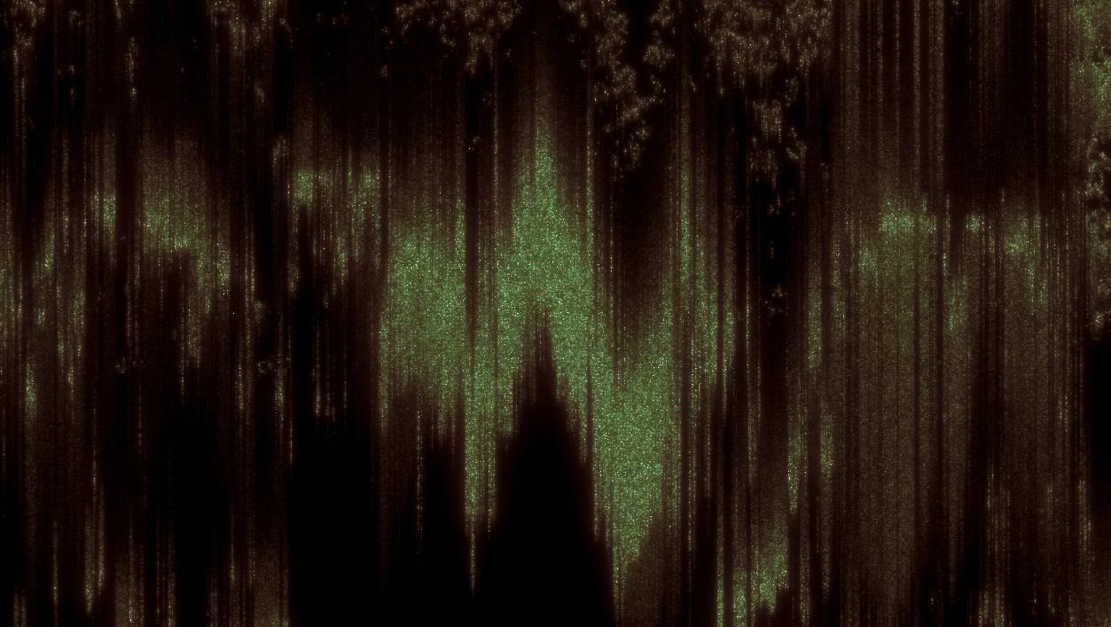 Woodland Texture 01
