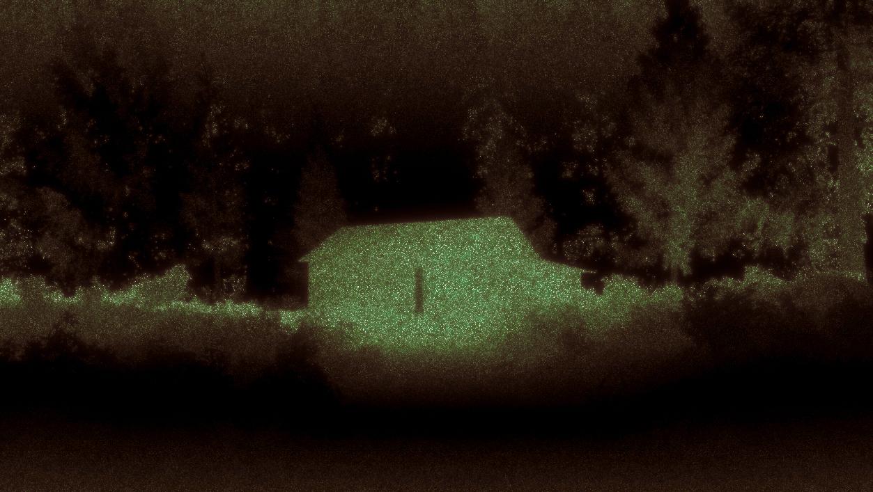 Woodland Texture 02