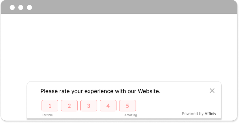 Post Puchase Survey - Website Experience Question
