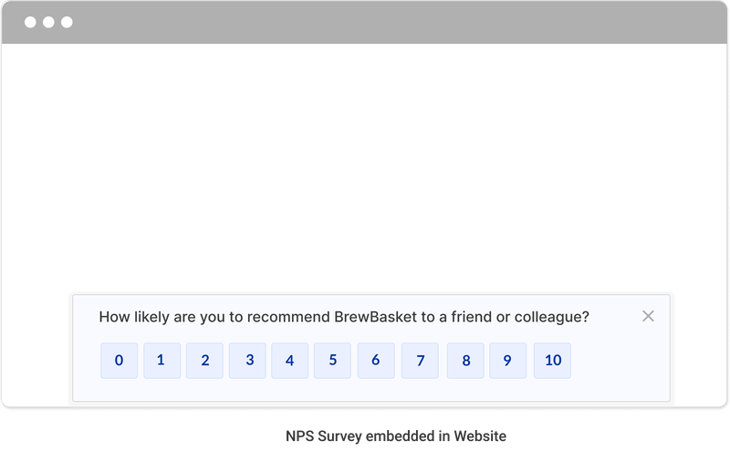 Embed survey in website