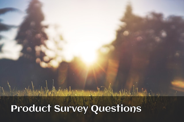 14 product survey questions and best practices