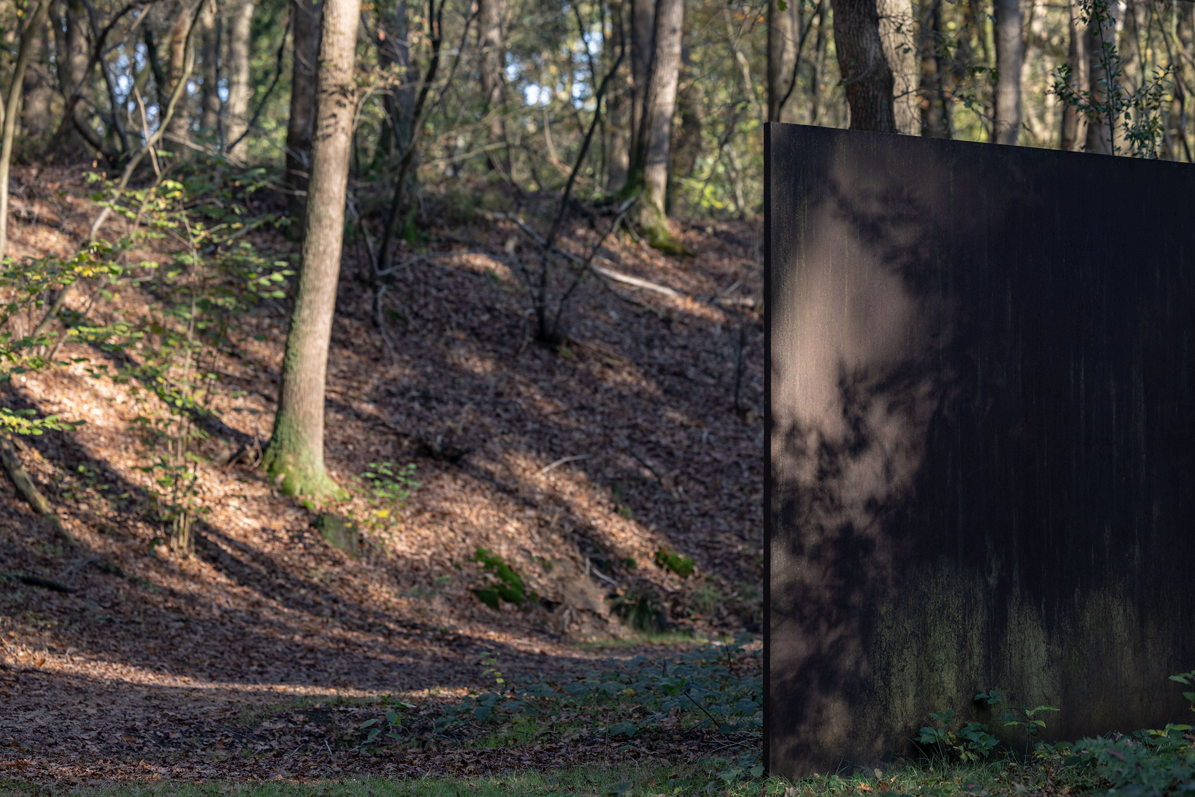 Foto van een bos met een groot, donker, rechthoekig kunstwerk in het midden, waarop schaduwen van bomen zichtbaar zijn. Pad met bladeren leidt langs kunstwerk, omringd door bomen met herfstachtig licht en kleuren.