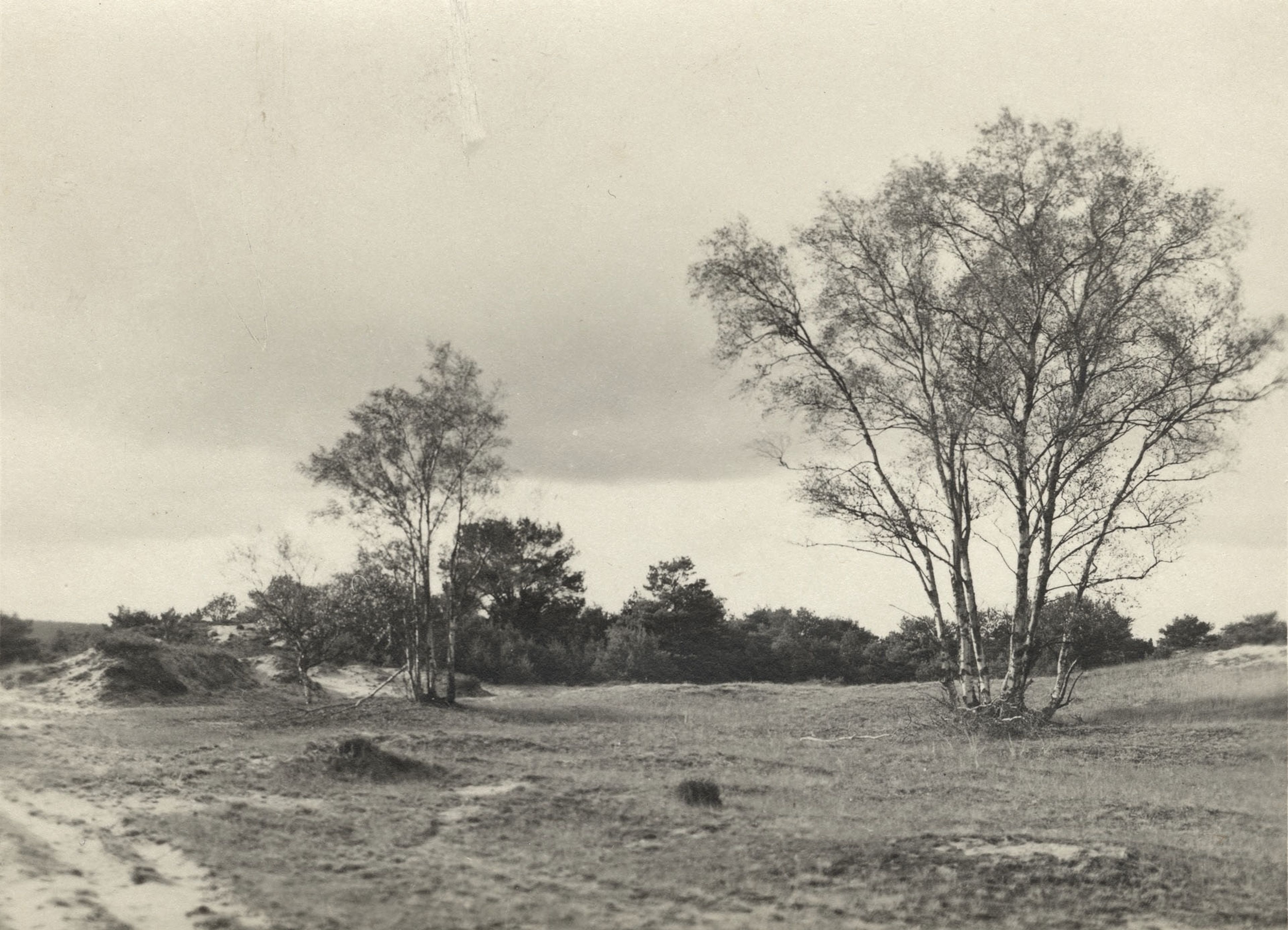 Landgoed Veluwe Zwart-witfoto van een open landschap met zandgrond en verspreide bomen