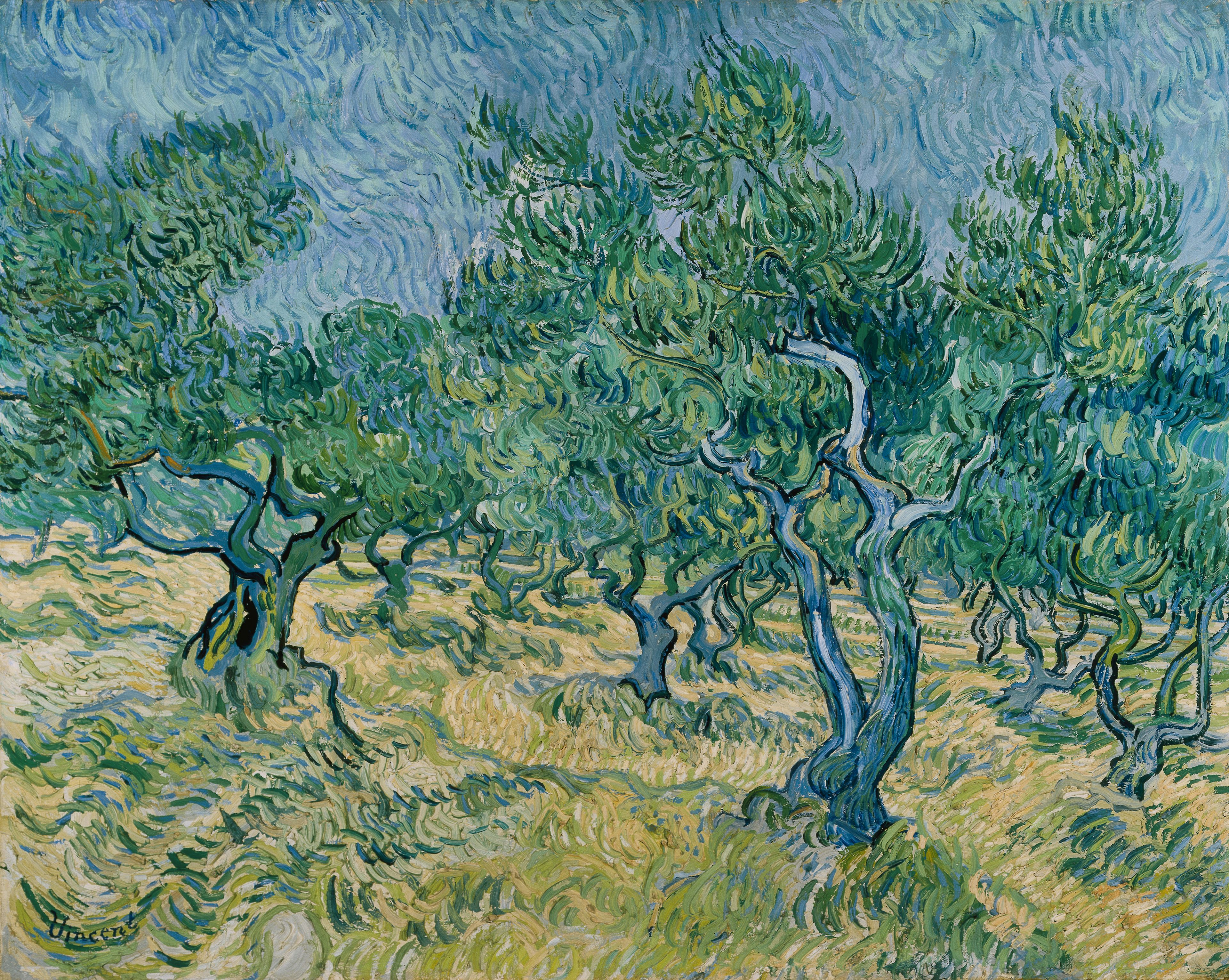 KM 104.278 Vincent van Gogh, Olijfgaard, juni 1889 - Olive grove, June 1889