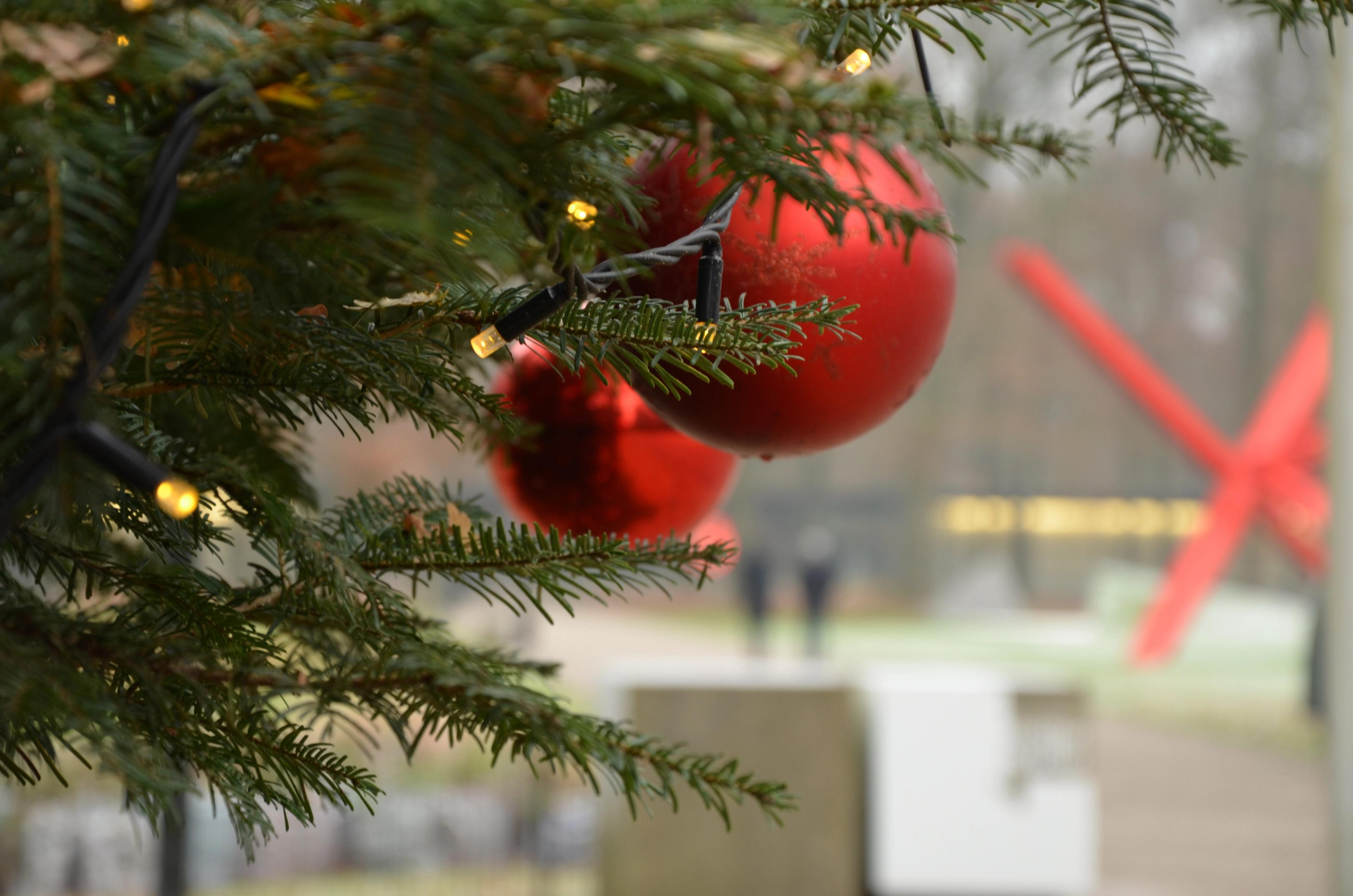 Kerstballen aan een tak, met onscherp in de achtergrond een rood kunstwerk en de entree van het museum