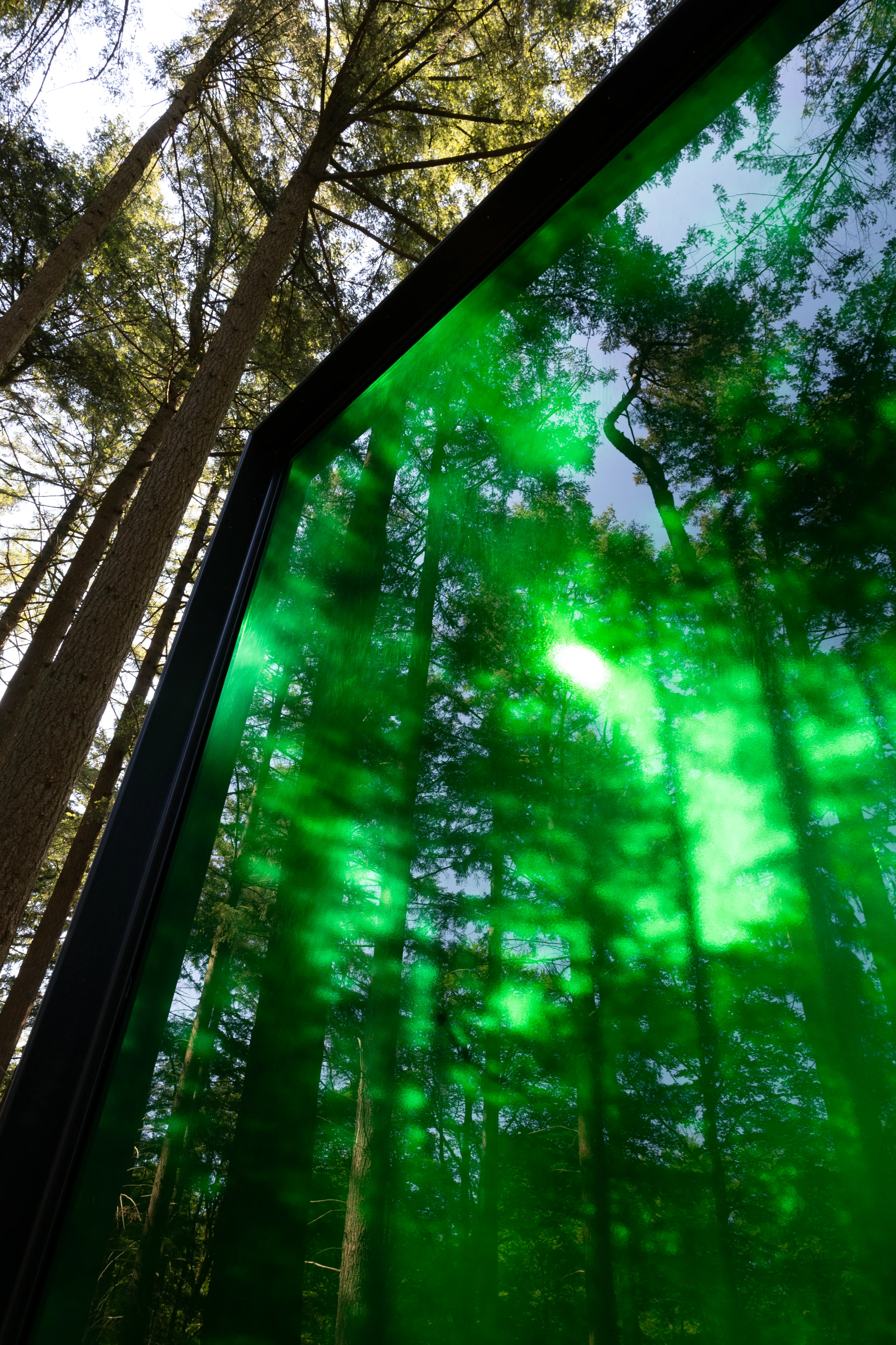 Kunstwerk bestaand uit een groene doorzichtige wand, midden in het bos