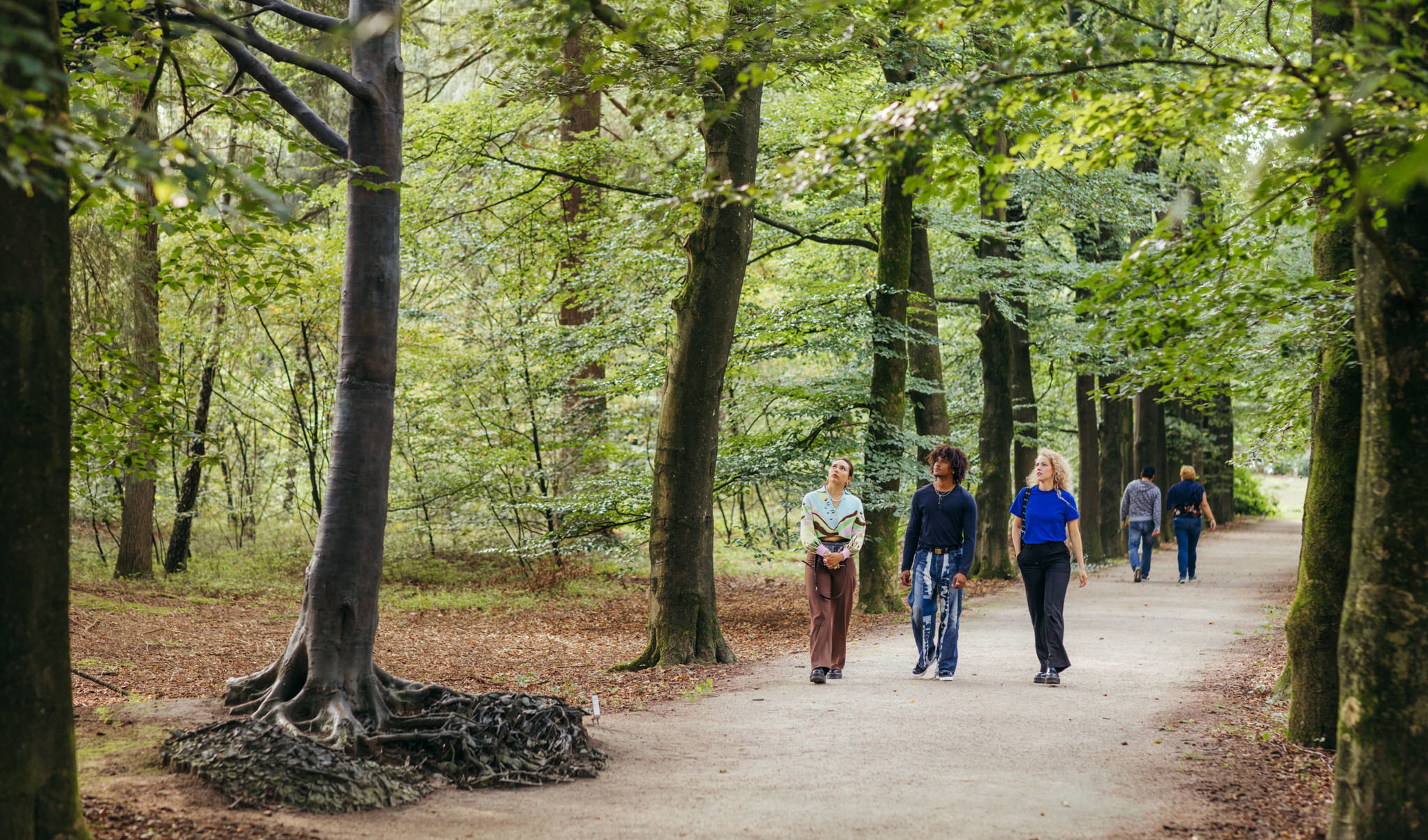 Drie bezoekers lopen door de beeldentuin. Langs het pad staan rijen met bomen. Tussen de bomen staat een bronzen kunstwerk in de vorm van een boom
