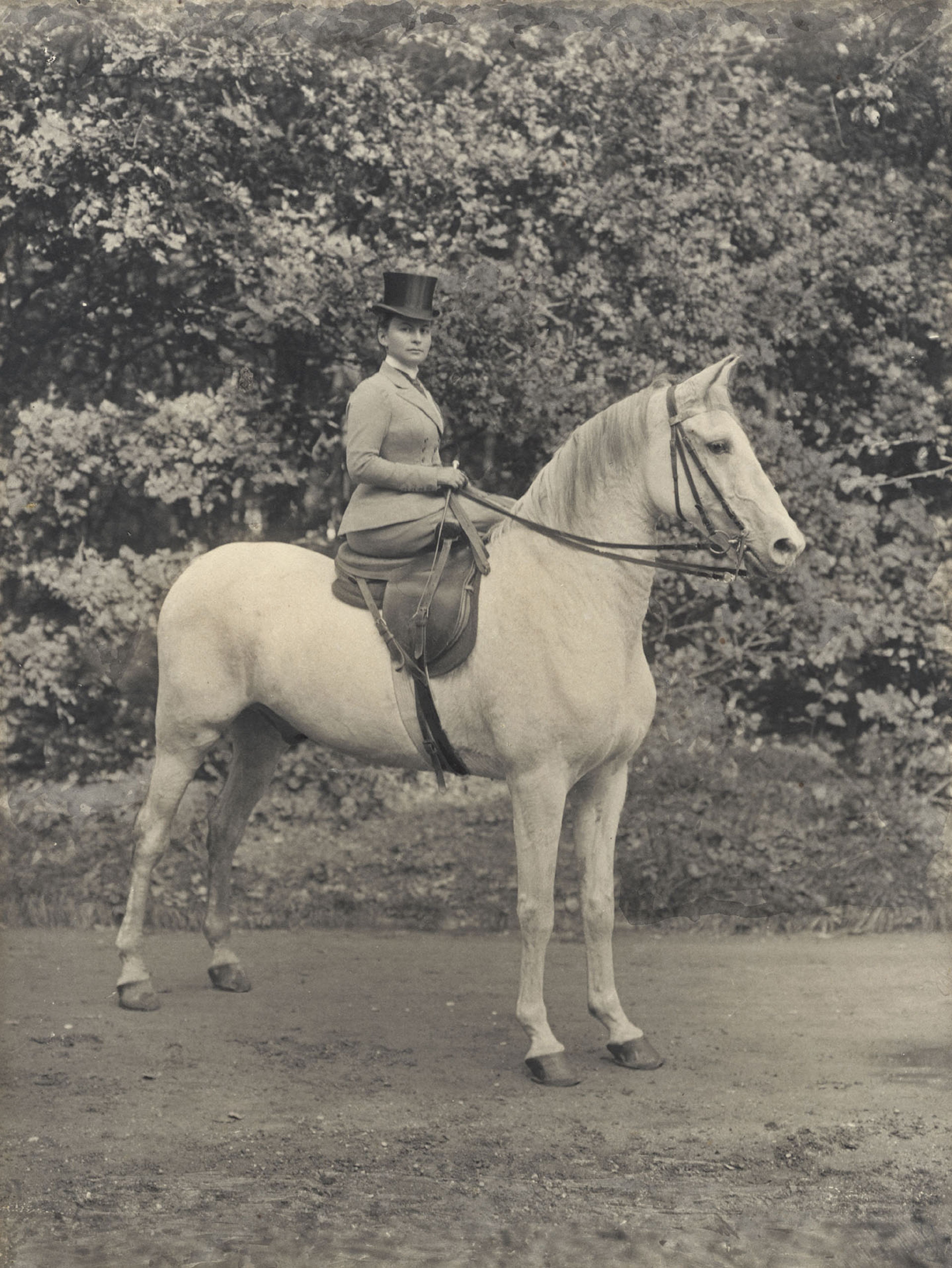 Helene Kröller-Müller te paard, circa 1900 Zwart-witfoto van Helene Kröller-Müller zittend op een wit paard