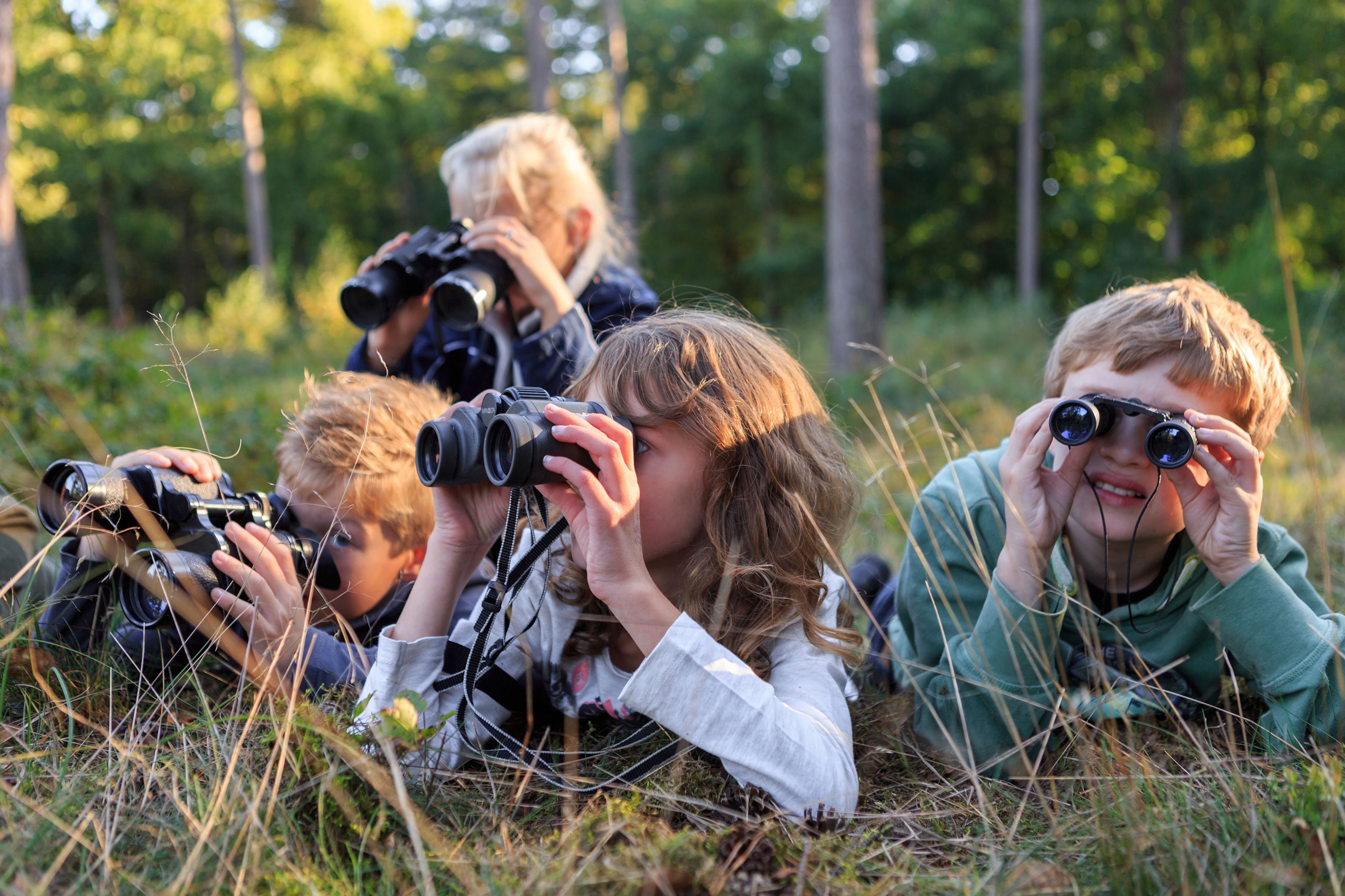 vier kinderen die liggend in het gras met verrekijkers naar iets in de verte kijken, omgeven door bomen en groen.
