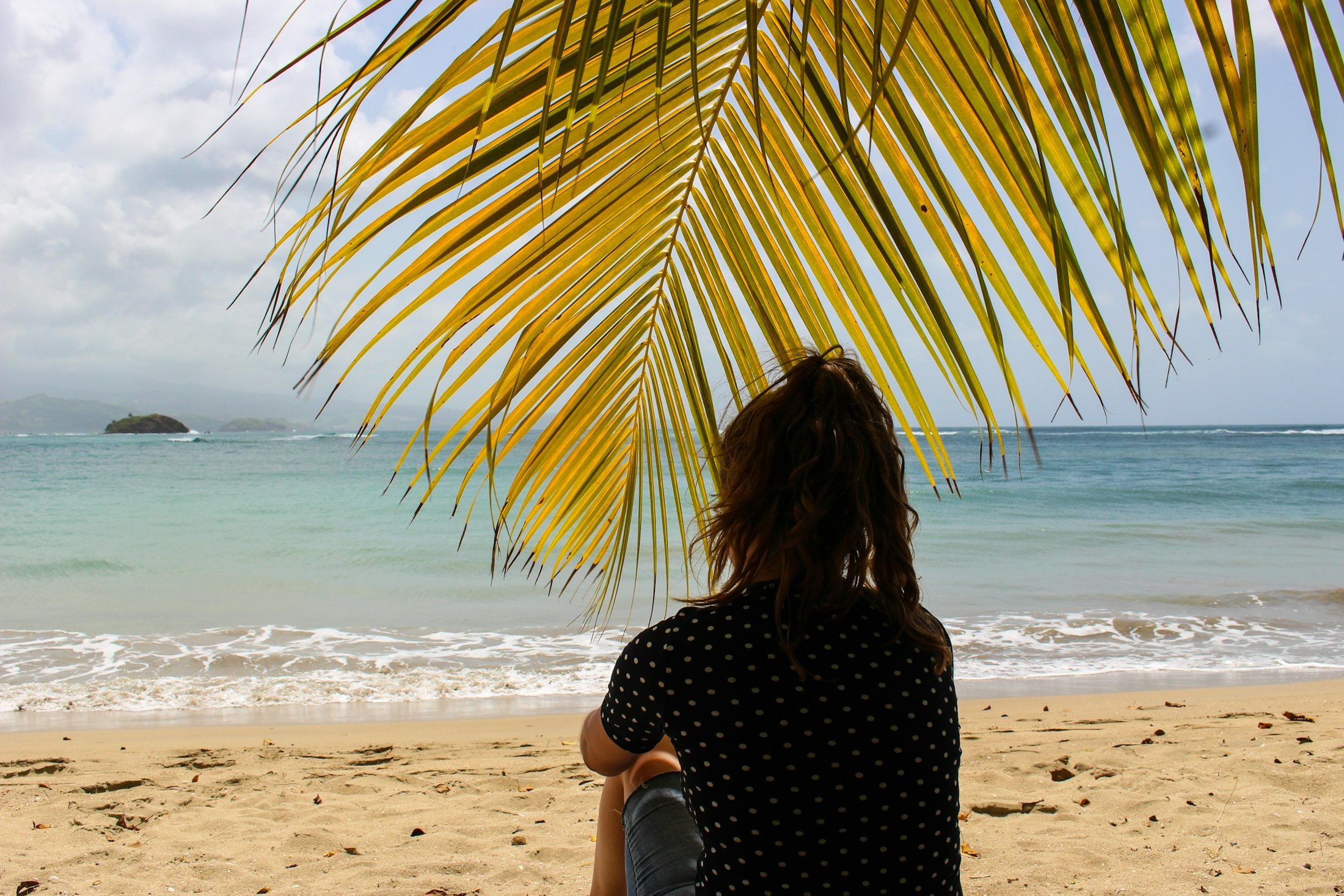 Une femme regarde la mer des Caraïbes depuis la plage, sous une palme