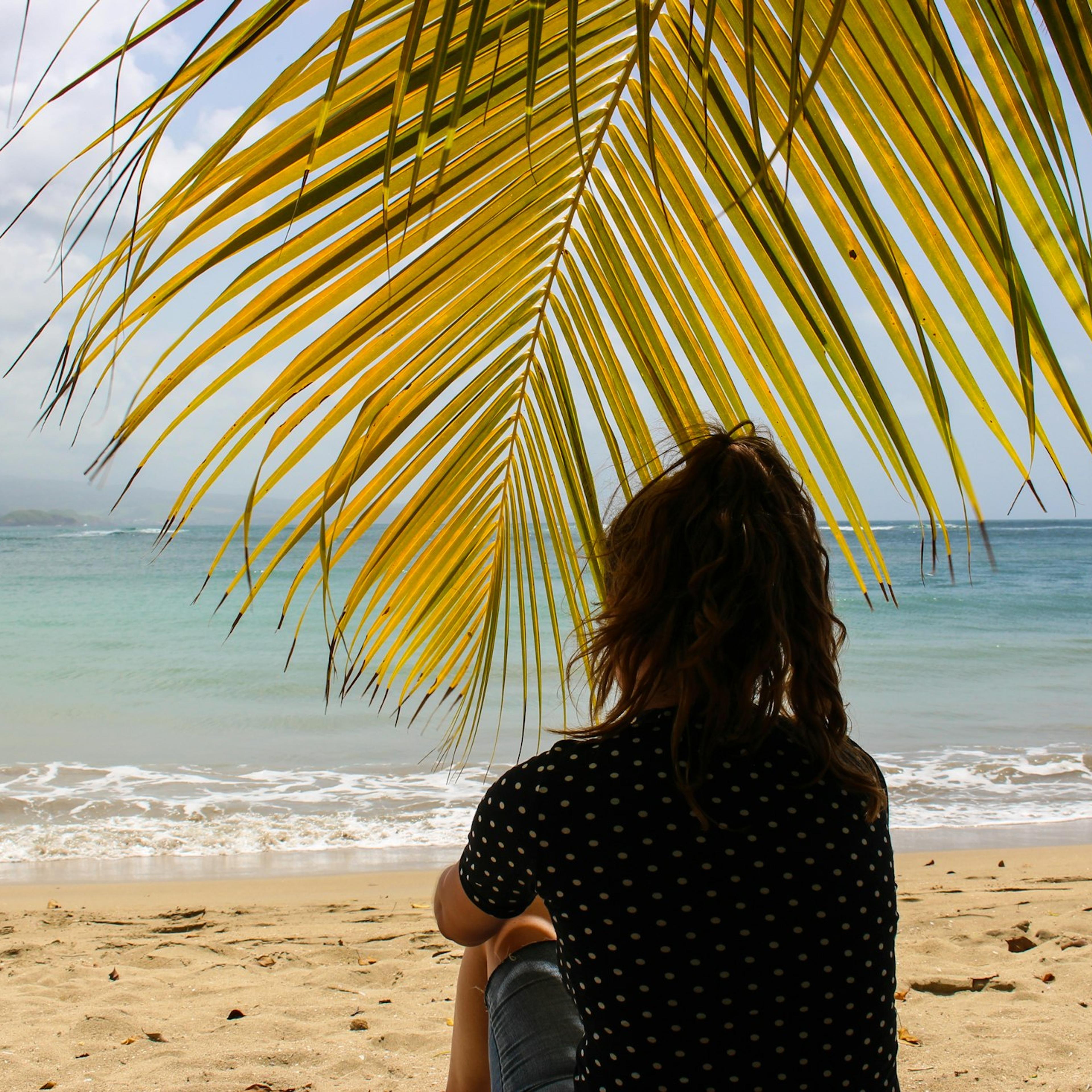 Une femme regarde la mer des Caraïbes depuis la plage, sous une palme