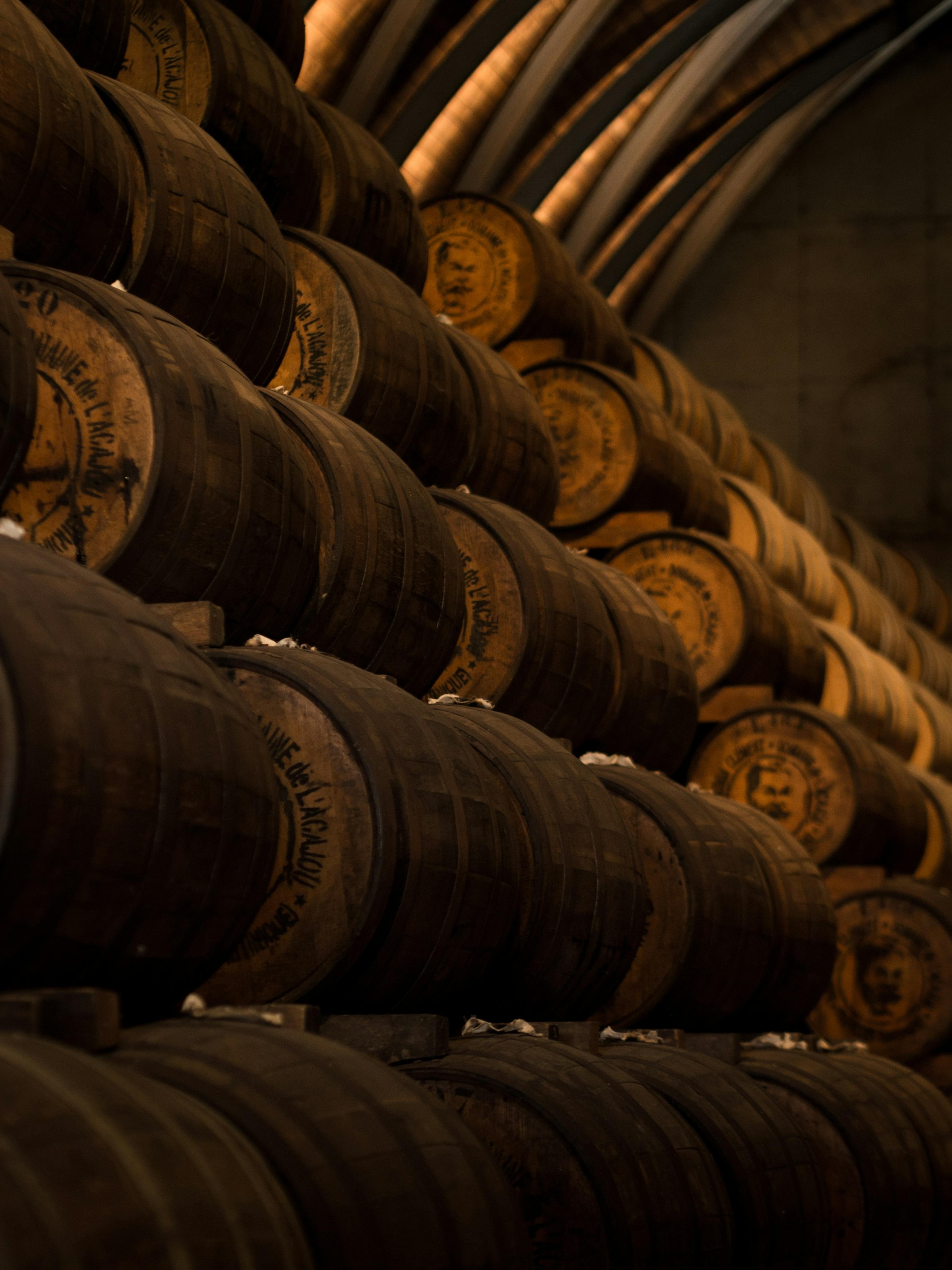 Rum barrels stacked in a cellar